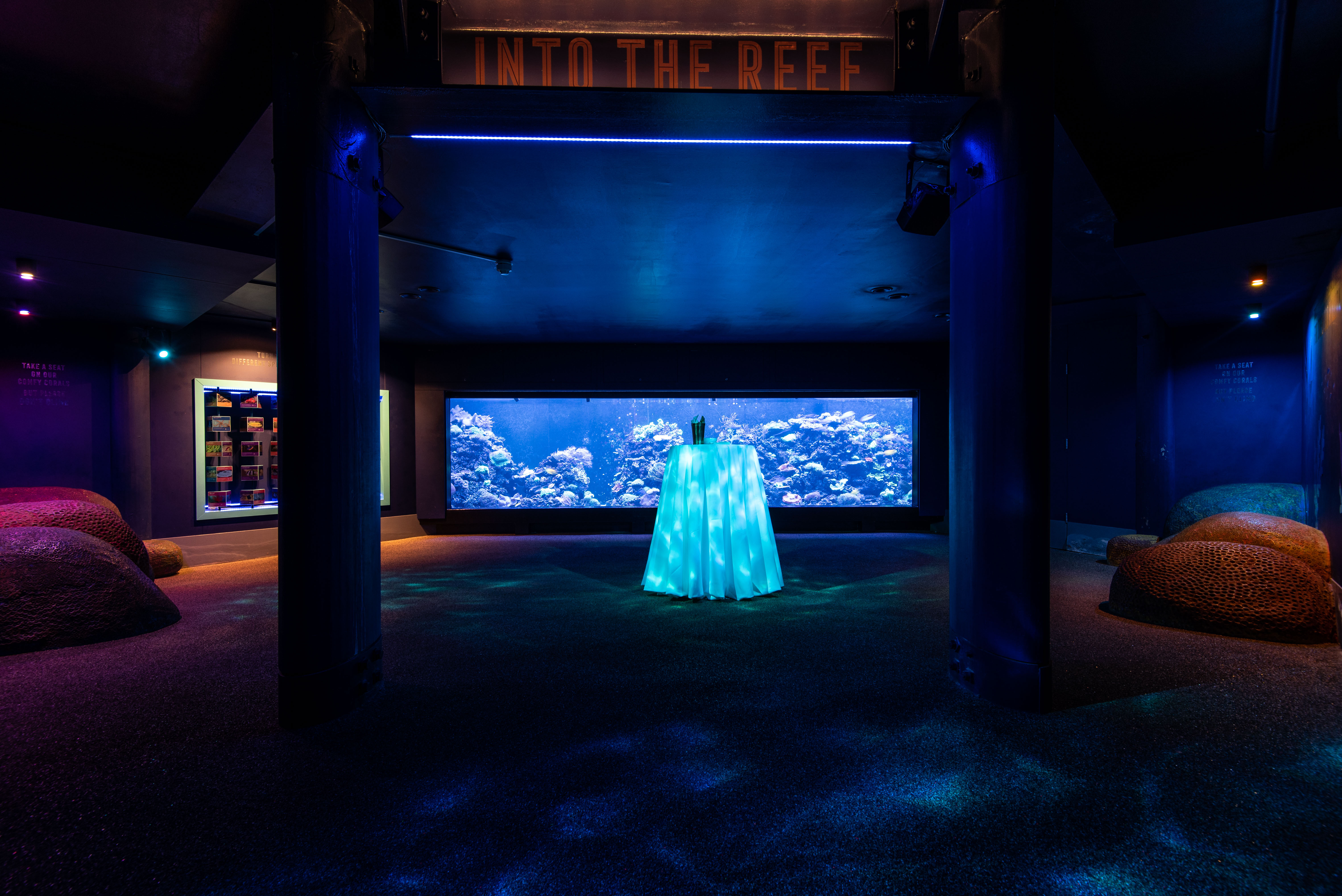 Animal Houses - 513d1fc3-099b-42f2-8cb6-6102ed4ef5e9.jpg