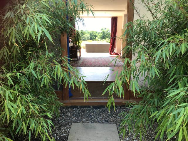 Serene bamboo-framed entrance to a versatile event space in A Sussex House.