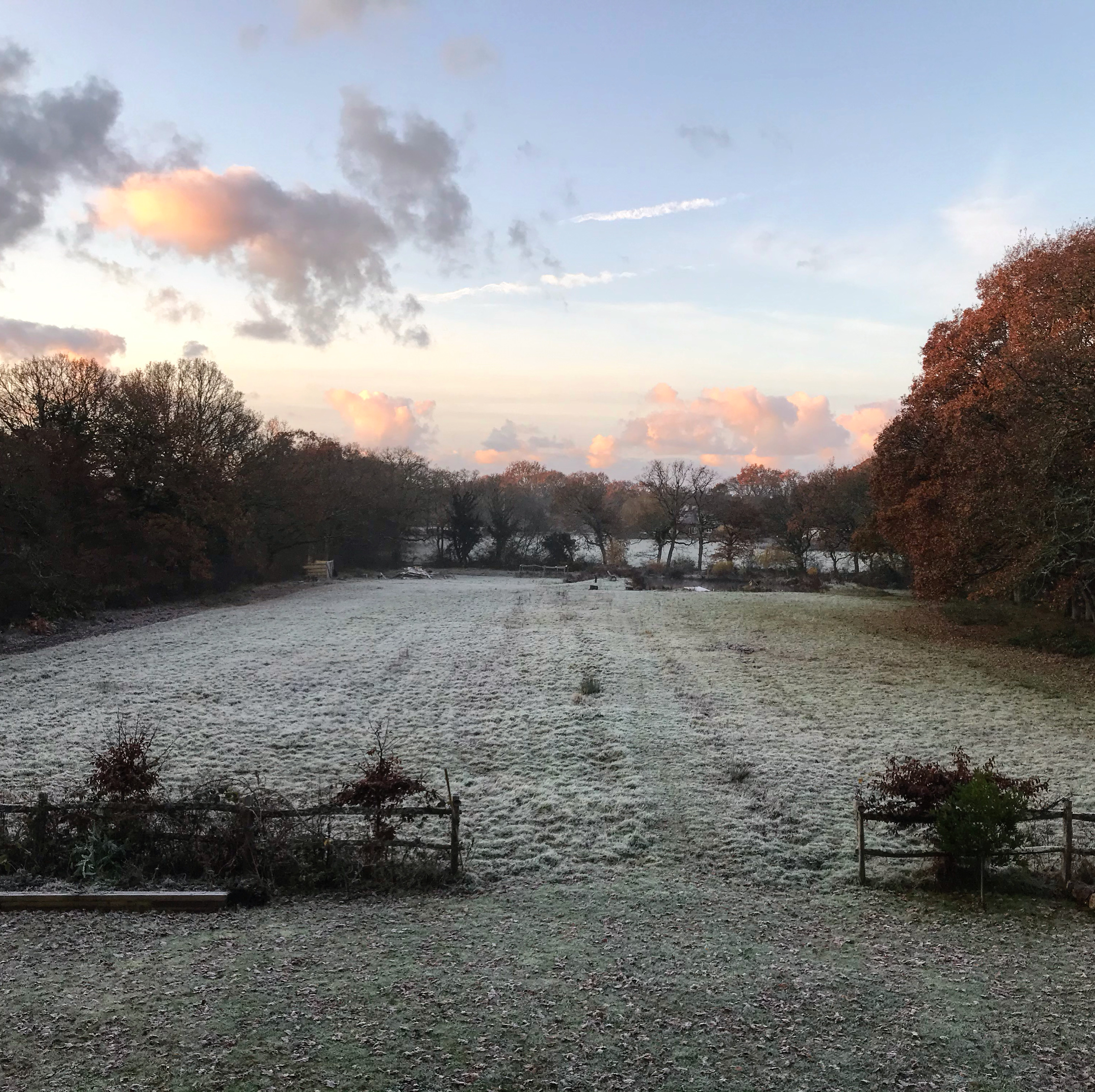 Serene outdoor venue in Sussex House with frosty ground, ideal for winter events and workshops.