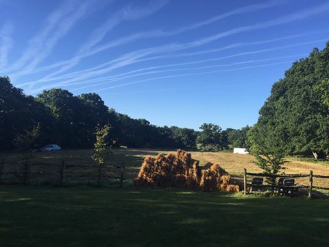 Serene outdoor venue in Sussex with stacked hay, perfect for rustic weddings and retreats.