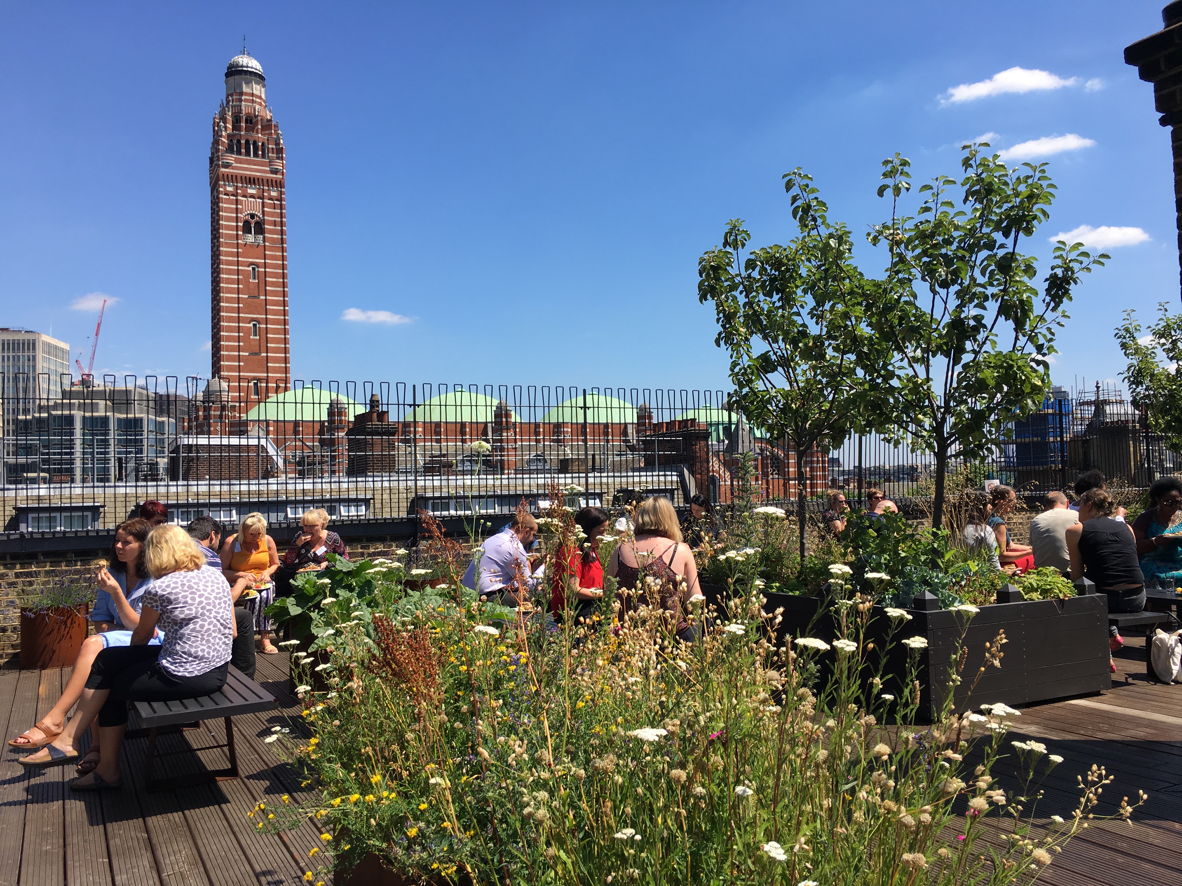 Rooftop garden venue with lush greenery, ideal for networking events and meetings.