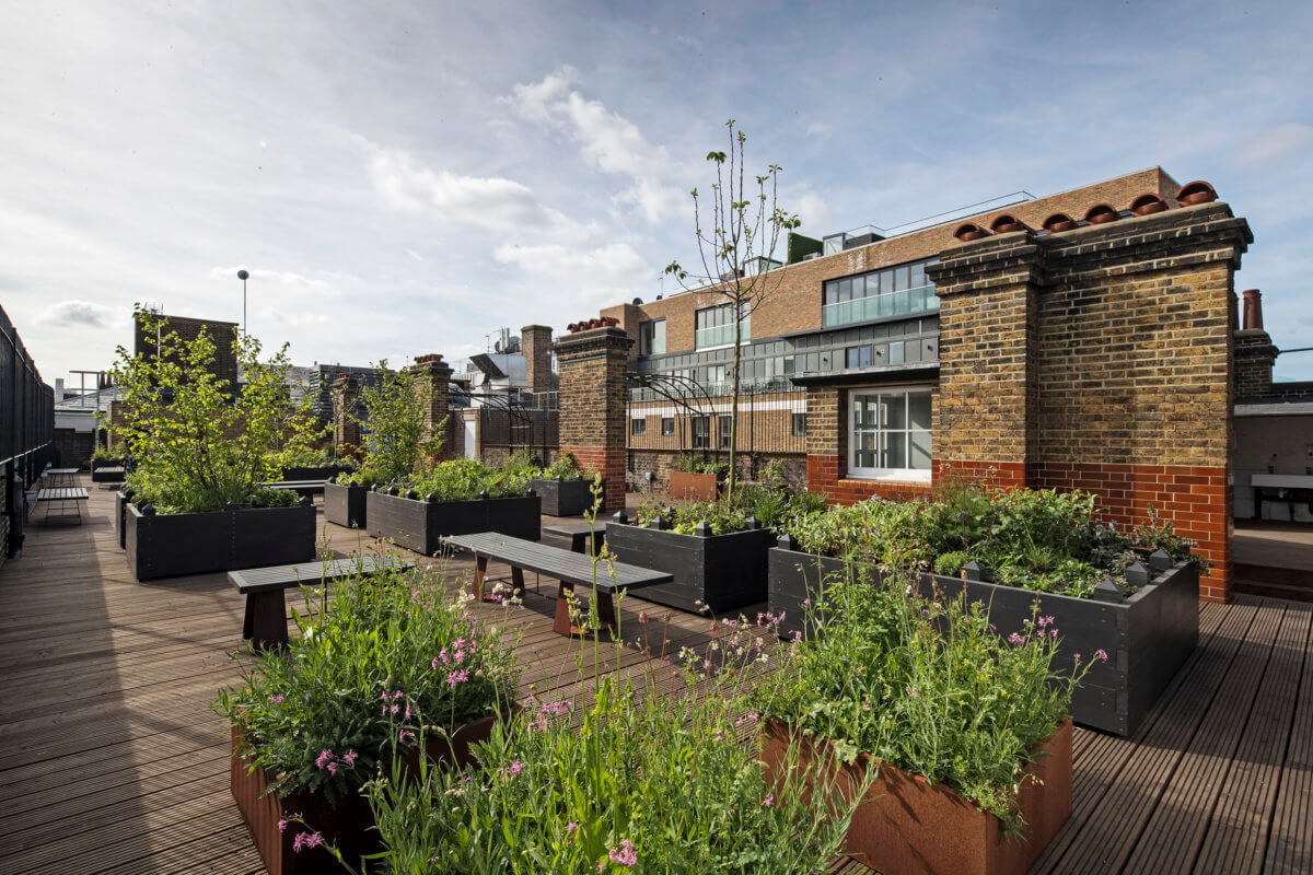 Vibrant rooftop garden in Cathedral View, perfect for outdoor meetings and events.