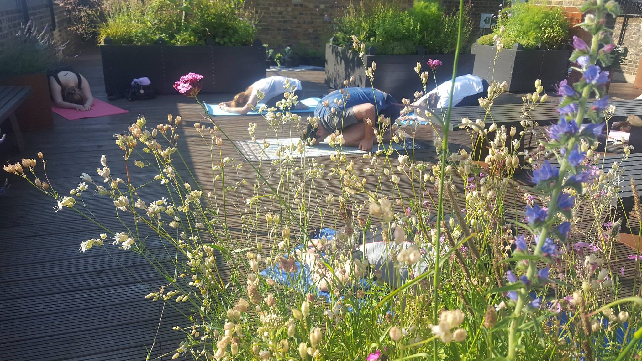 Rooftop garden with lush greenery, ideal for wellness events and yoga retreats.