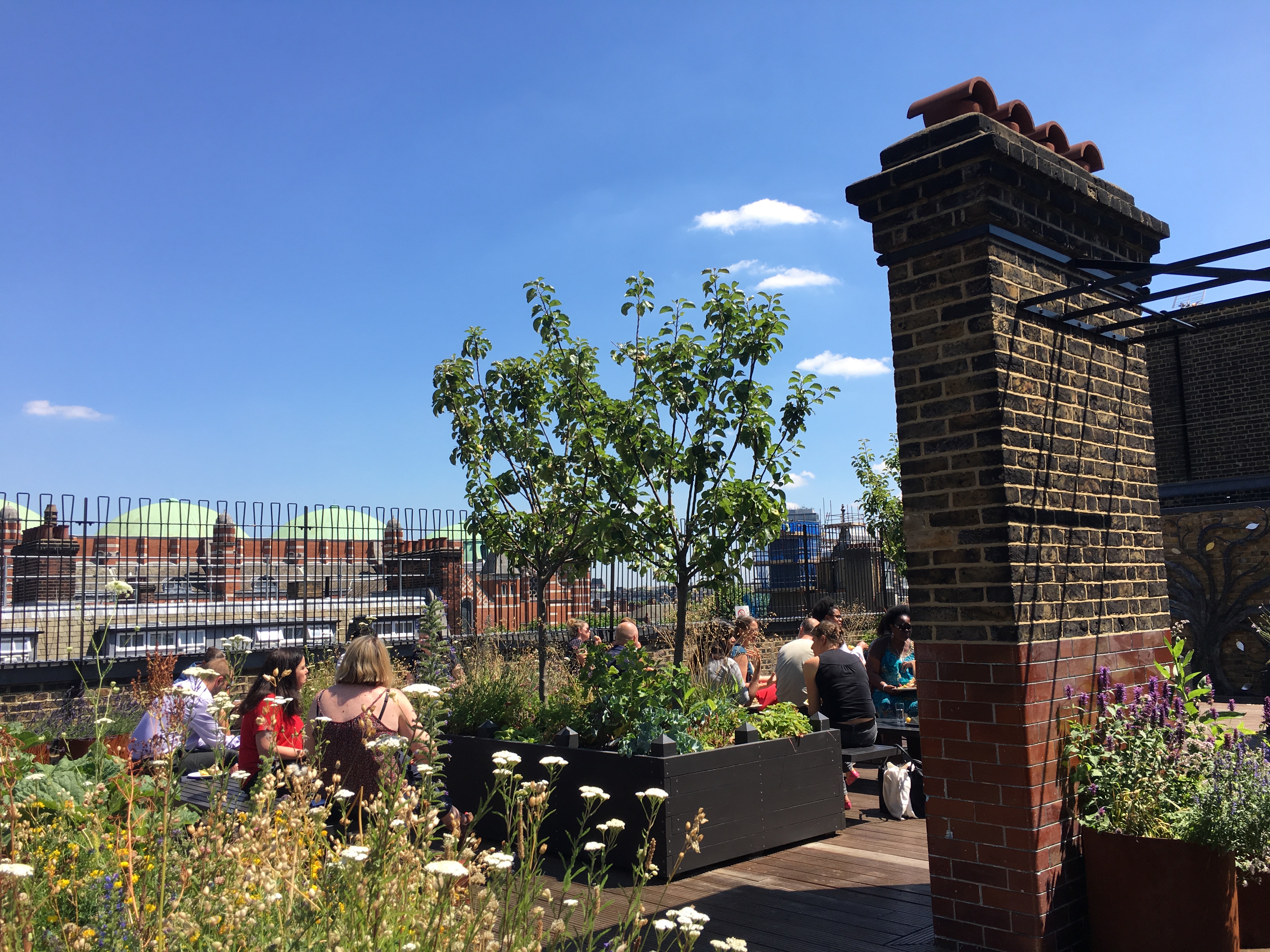 Rooftop garden venue with lush greenery for summer events and gatherings.
