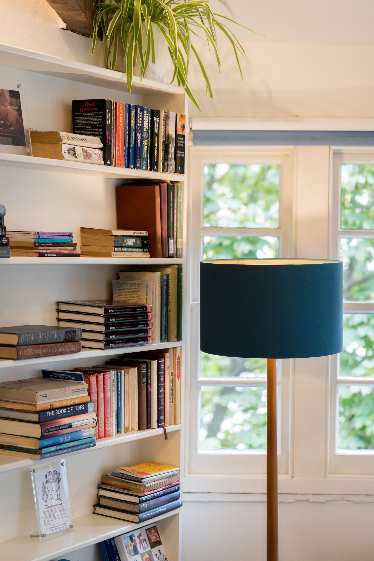 Dog Leg - pkw0ajv4y0l.jpg