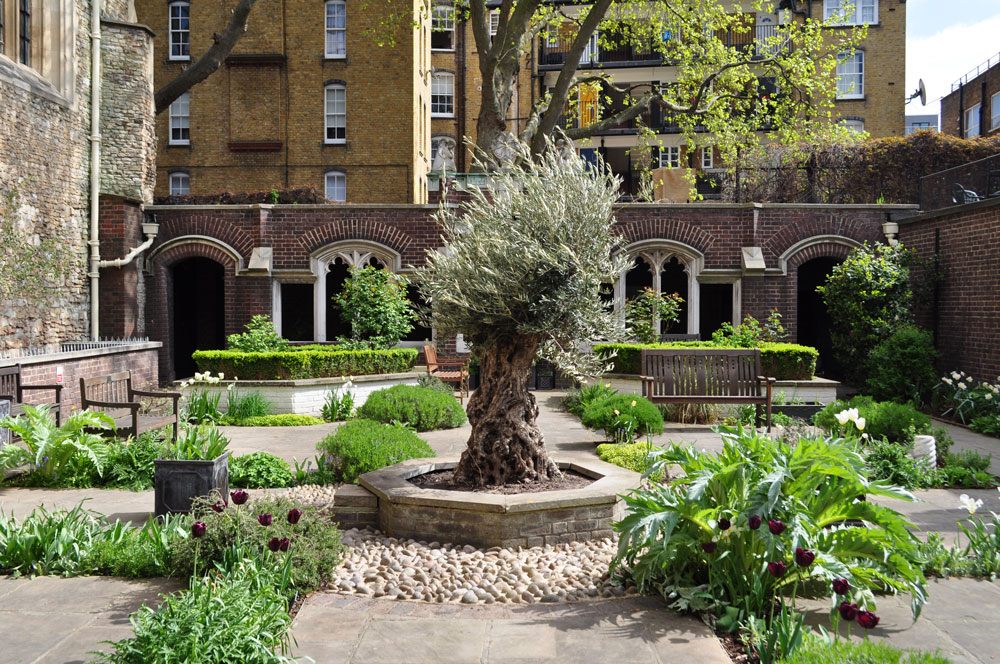 Cloister Garden - mqqcin15n11.jpg