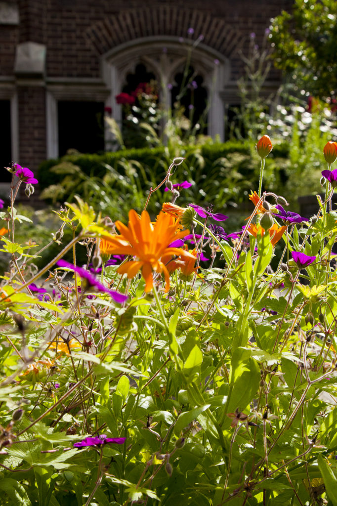 Cloister Garden - 2efg5lm0lao.jpg