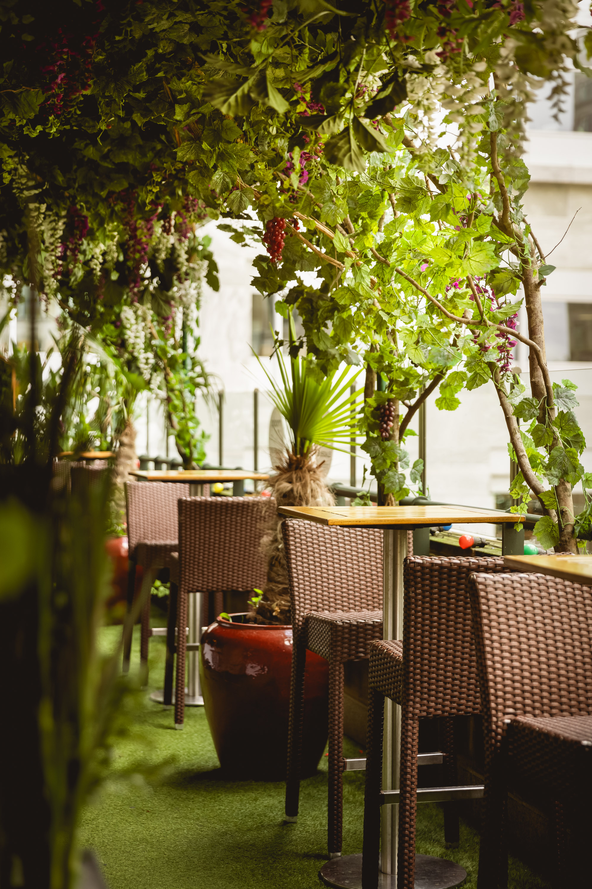 Hine Bar and Terrace - hp3j3jbdtl1.jpg