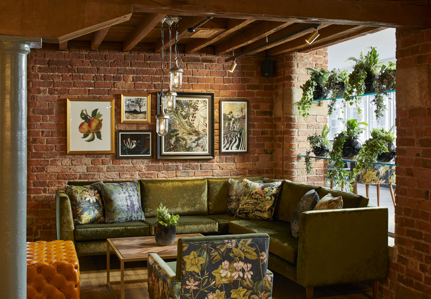 Terrace  - 533japfj0mp.jpg