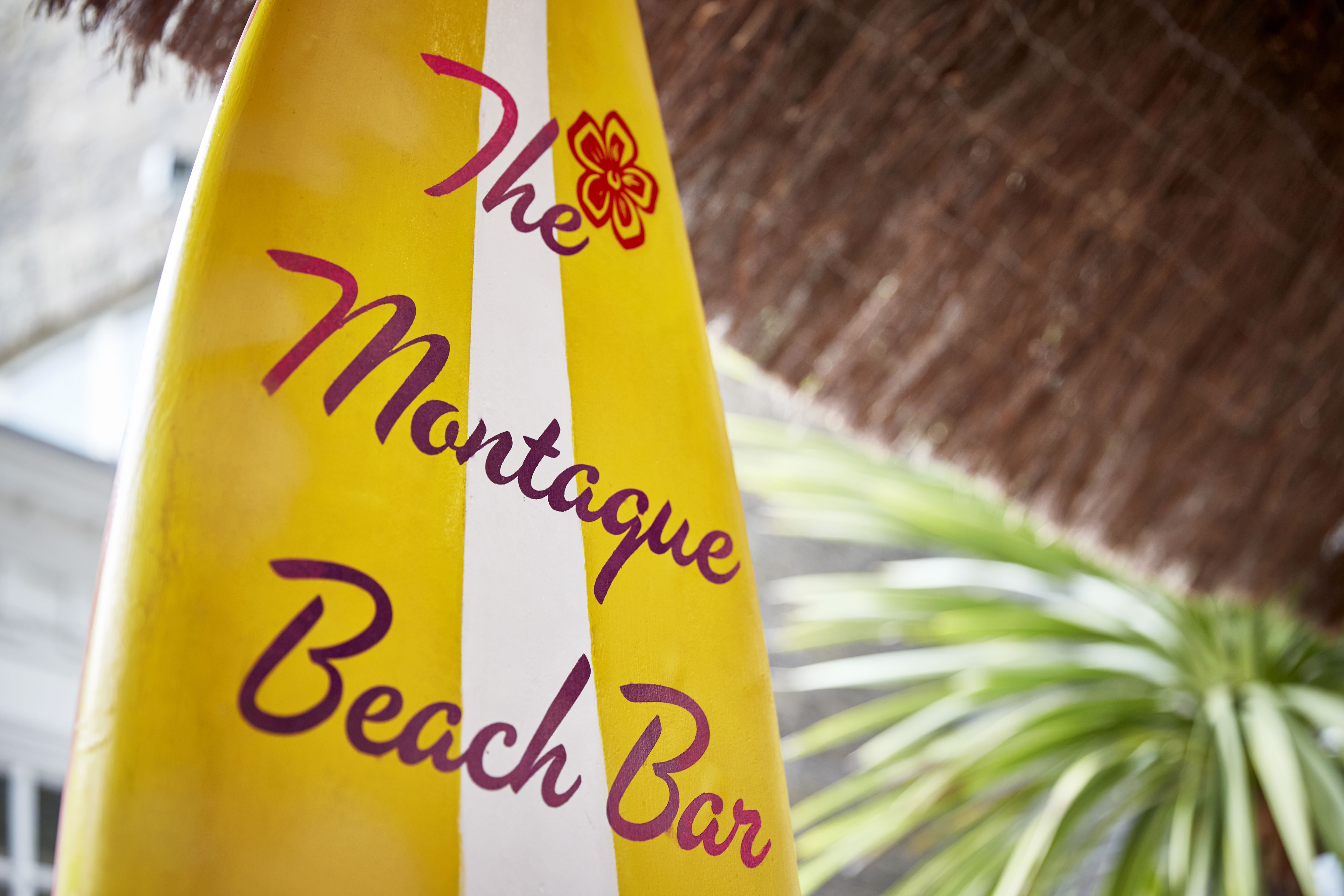 The Beach Bar - ime3e5a11ry.jpg