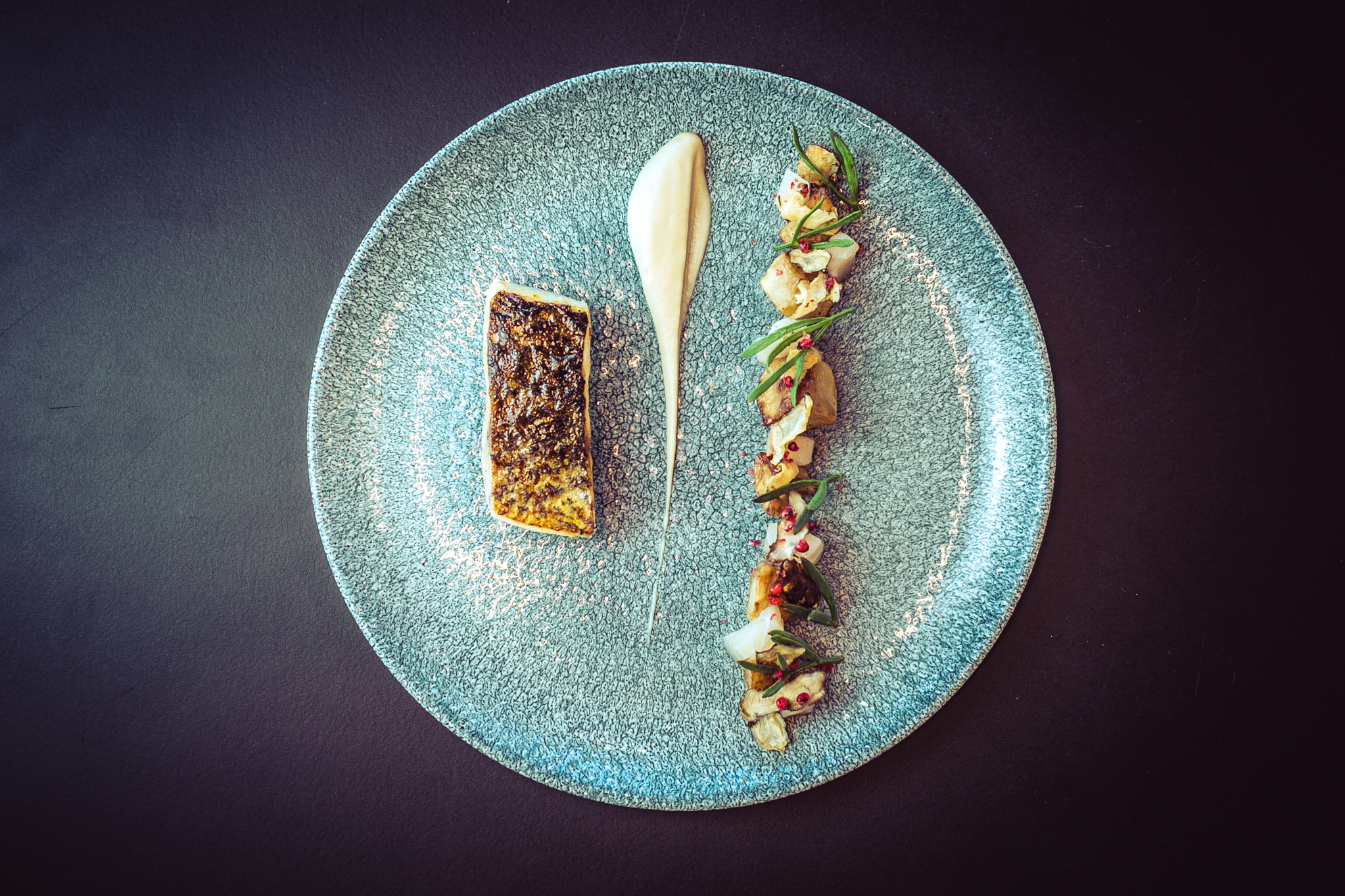 The Wren - xj4nco1aidy.jpg