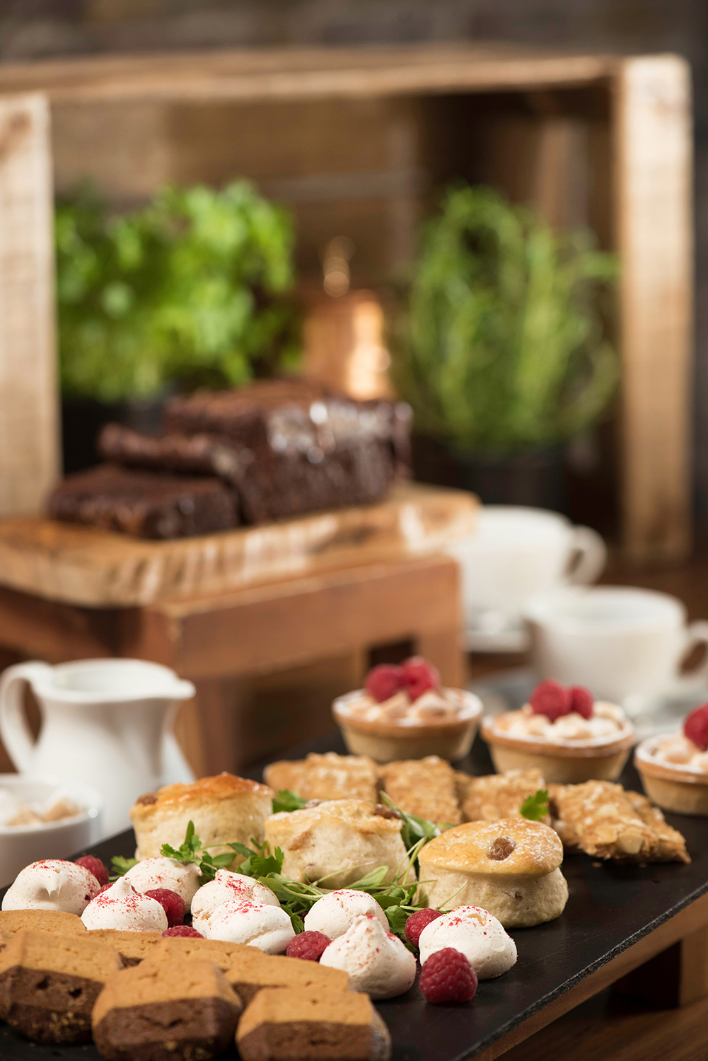 Dock Street Bar - zwdxwvm1hri.jpg