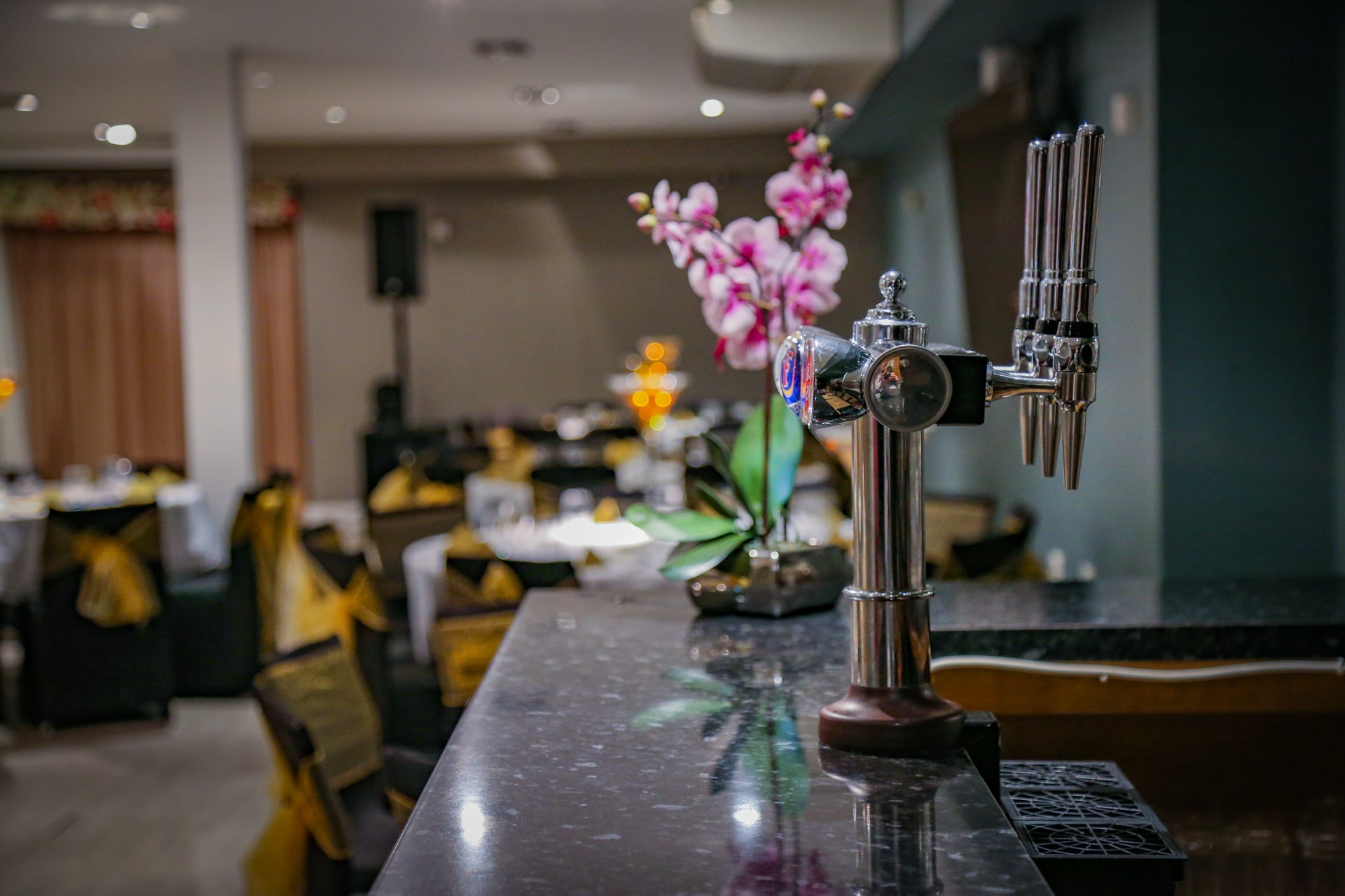 Mehfil Banquet - vdzq5v0qiz2.jpg