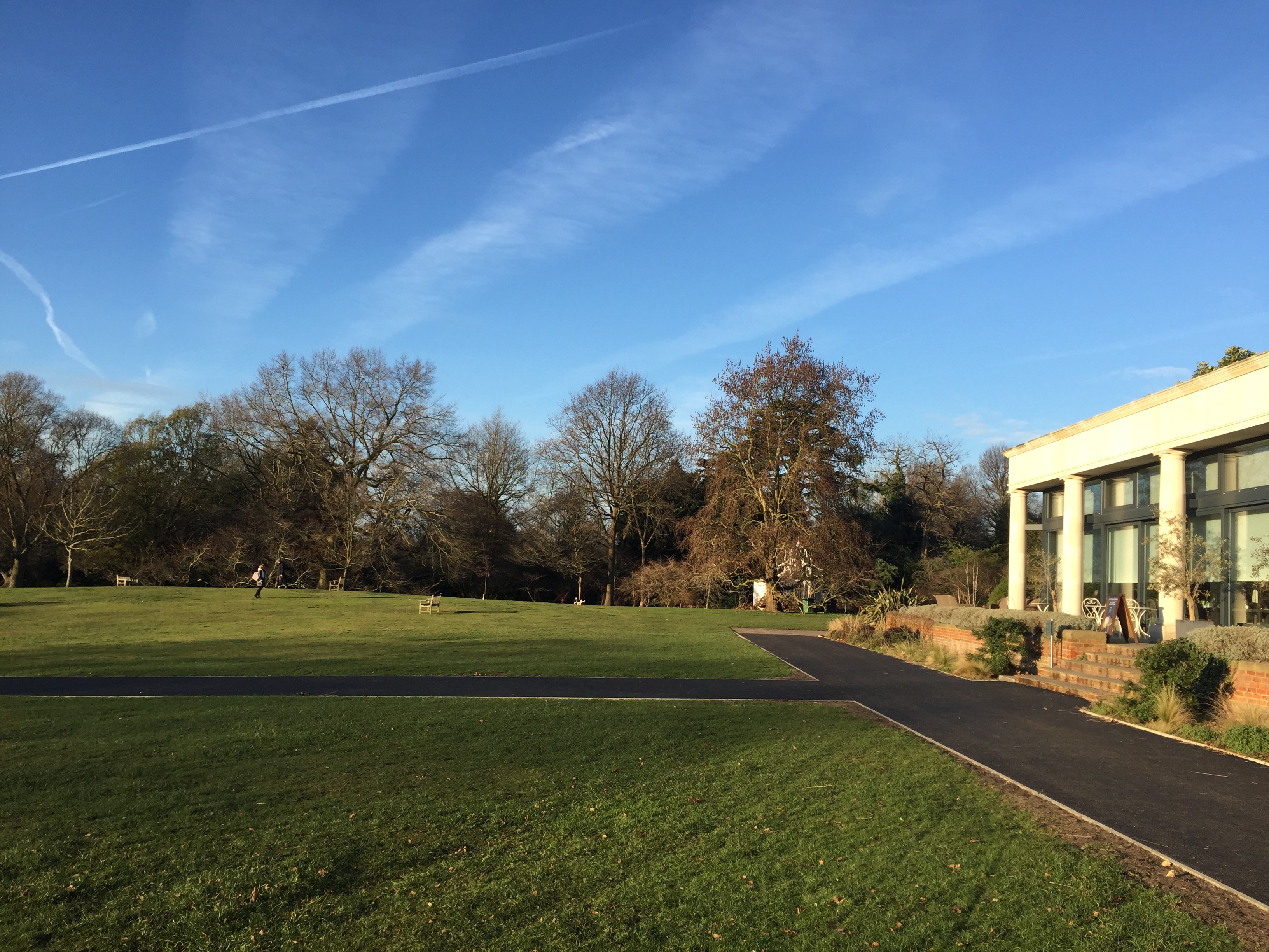 Main Lawn in Cannizaro Park, spacious venue for events with lush greenery and modern building.