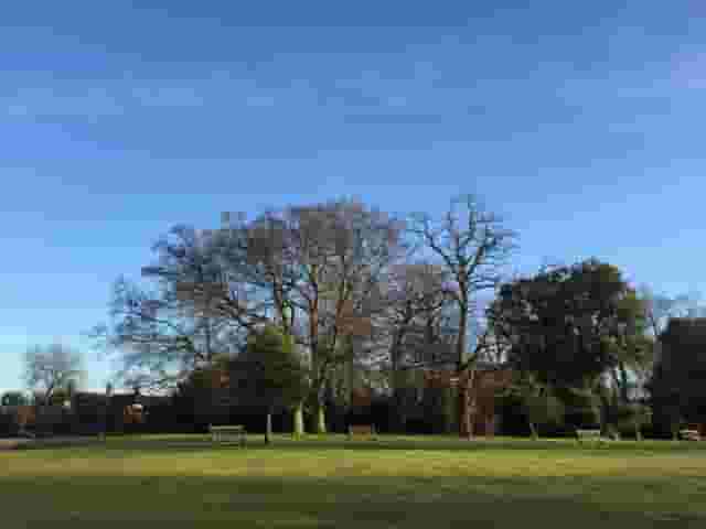 Cannizaro Park