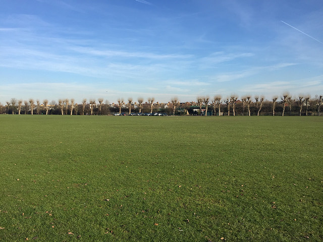 Spacious green field in Wimbledon Park, perfect for outdoor events and gatherings.