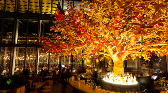 Vibrant SUSHI SAMBA venue with illuminated tree, ideal for events and gatherings.