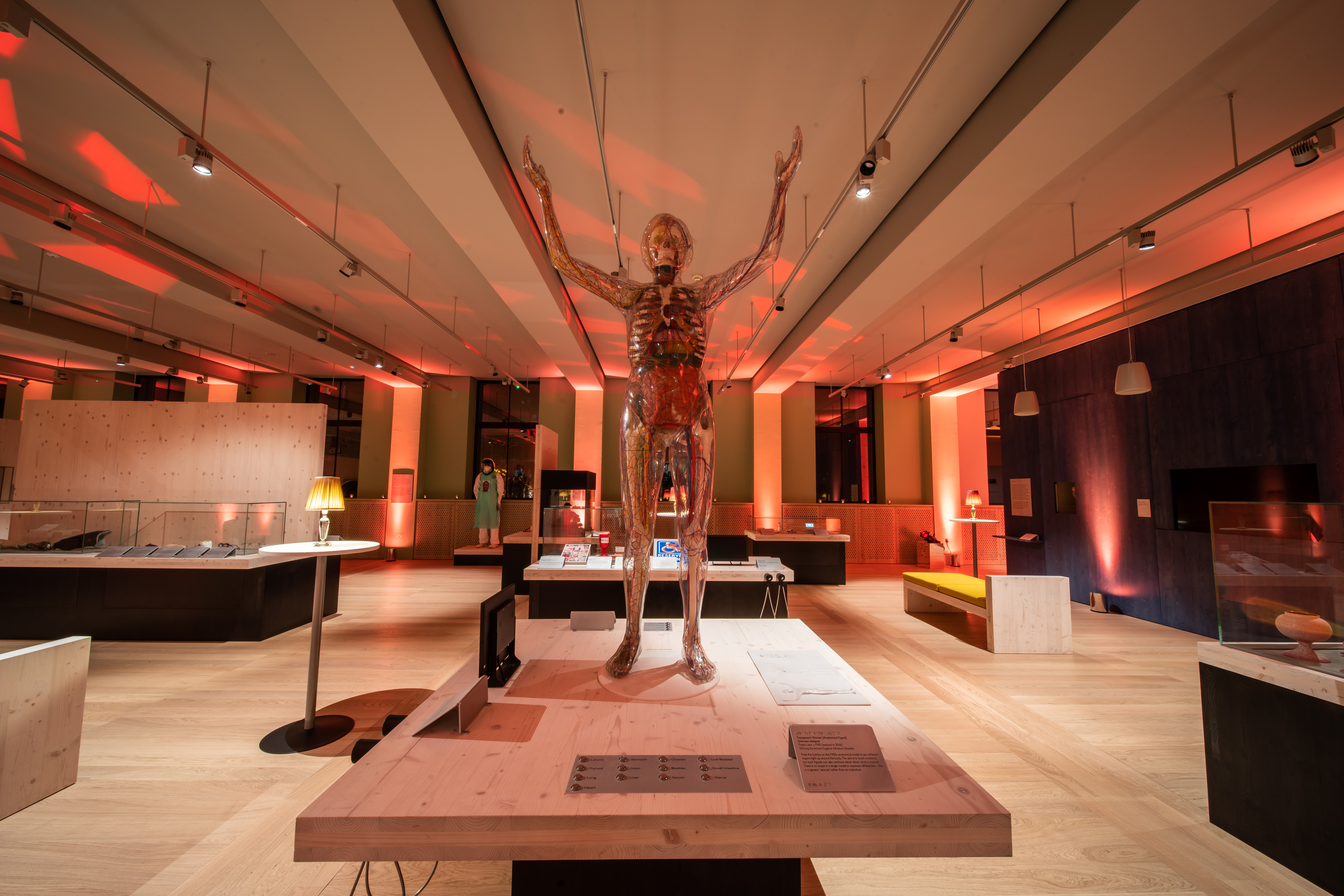 Being Human Exhibition at Wellcome Collection, featuring anatomical displays and dramatic lighting.