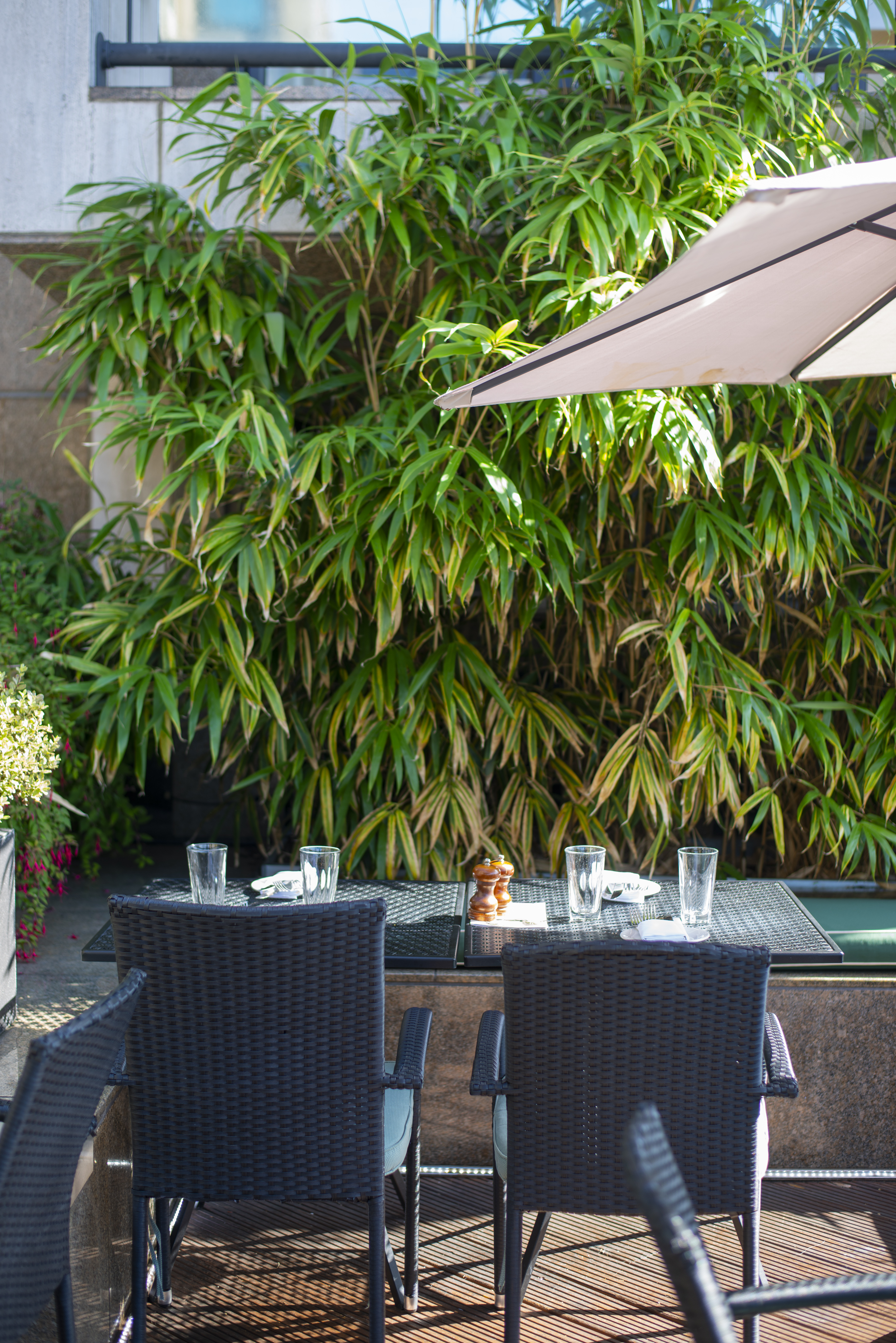 Terrace at Northbank Restaurant with lush greenery, ideal for casual meetings or events.