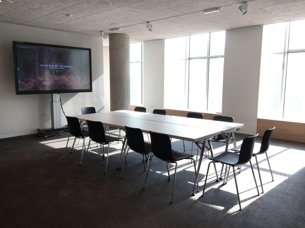 Ulm and Bauhaus Room in Design Museum, minimalist meeting space for presentations and workshops.