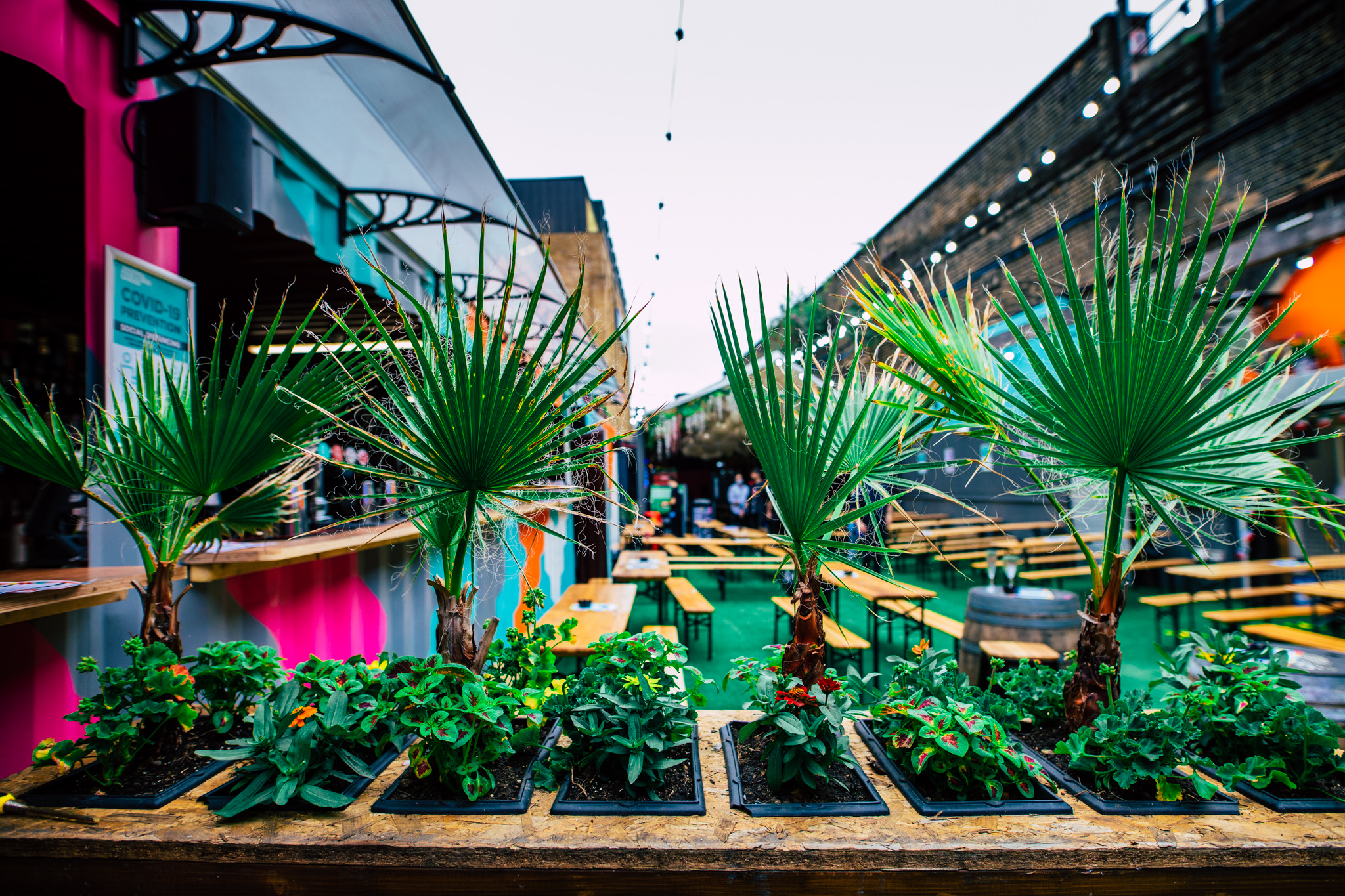 Vauxhall Street Food Garden: vibrant outdoor event space with lush greenery for social gatherings.