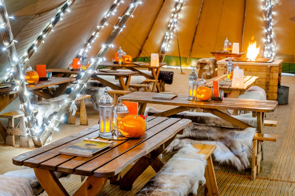 Cozy event space with rustic tables, string lights, and festive pumpkins for gatherings.