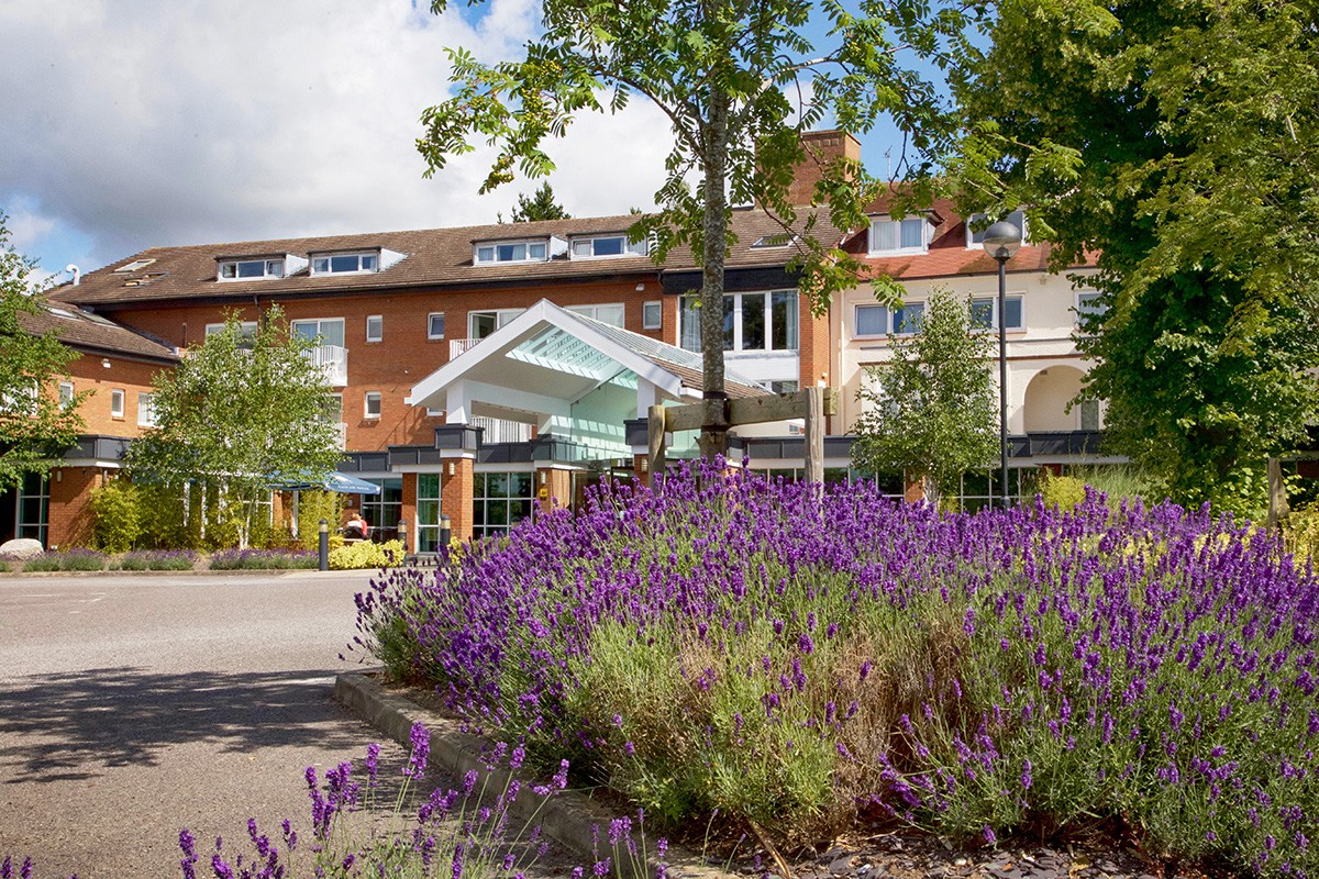 Tokyo Suite at Regency Park Hotel, modern venue with lavender landscaping for events.
