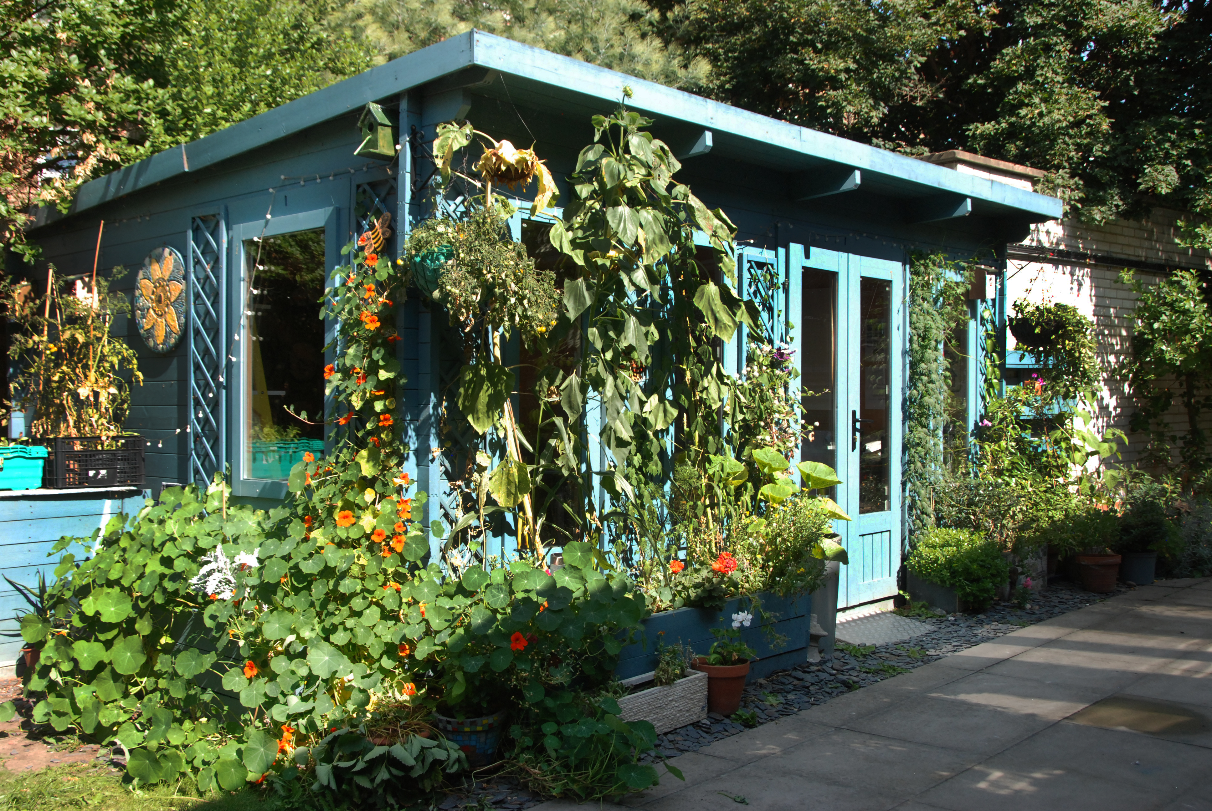 Main Space - a8828db6-2f64-4fb6-a916-7ee826b738c9.JPG