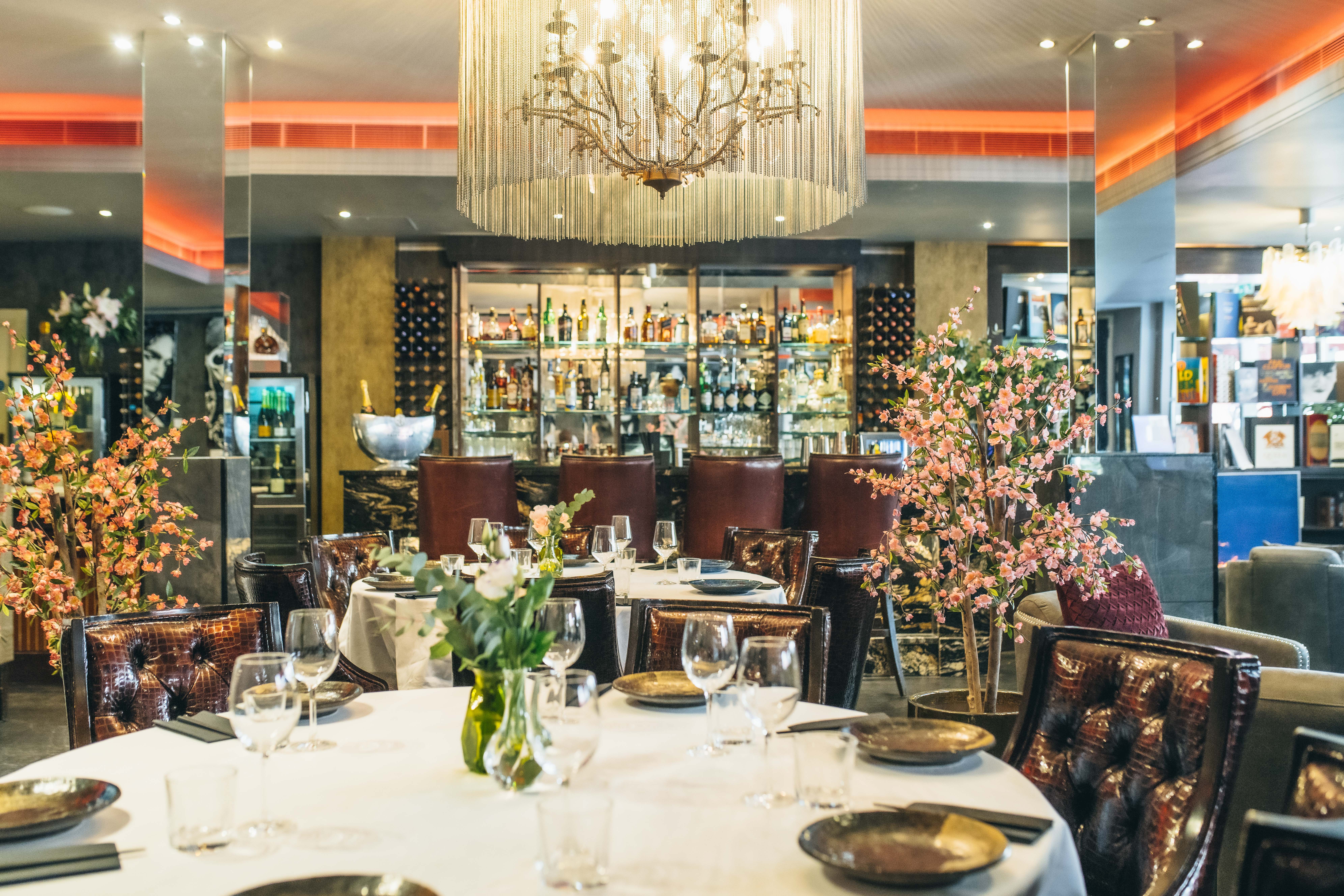 Wild Heart Bar & Shokudo - pb3slz5p5i0.jpg