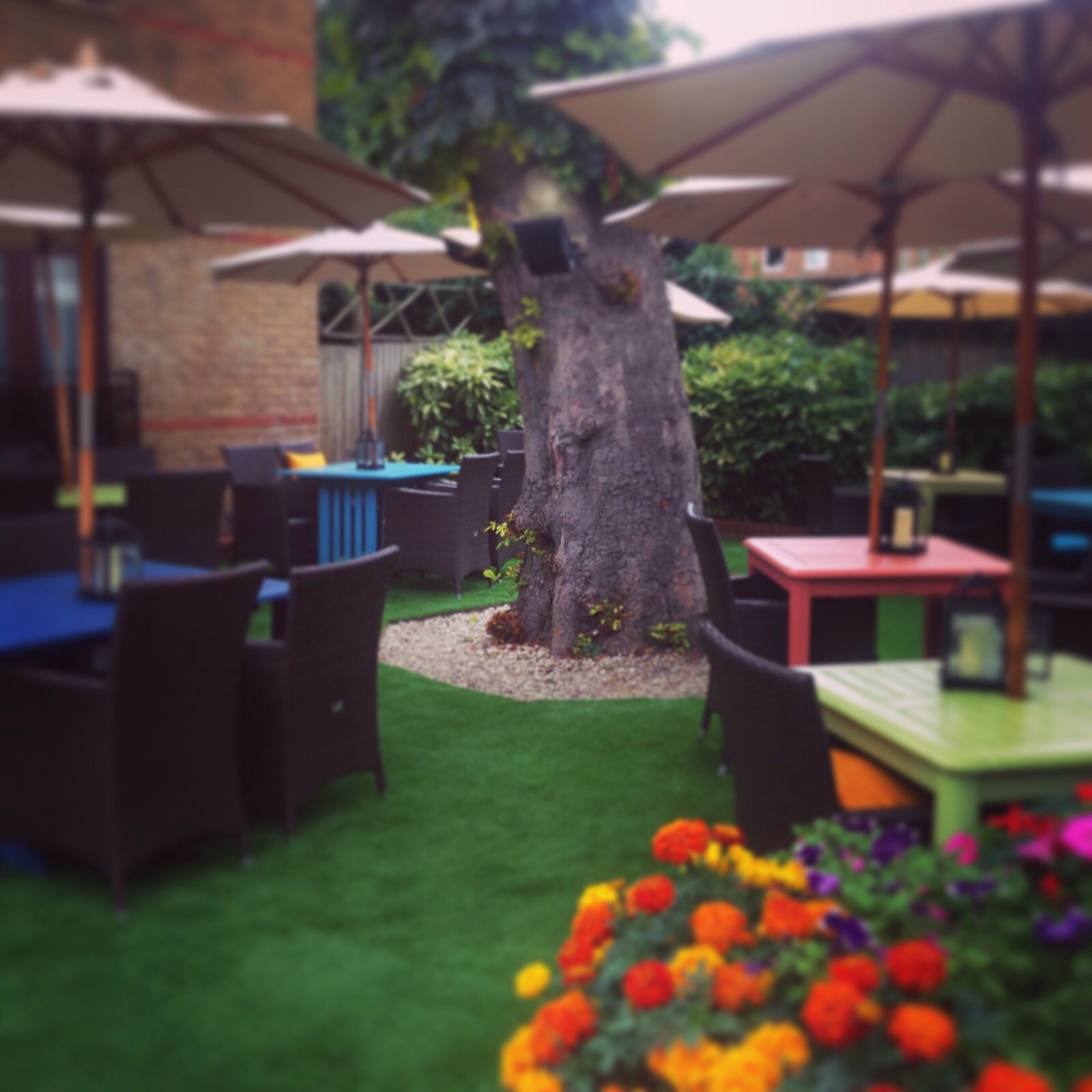 Lounge Garden at The Crown Hotel with colorful breakout seating for networking and conferences.