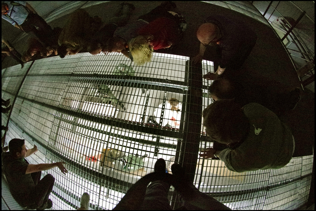 The Mezzy One - u14f1s0iqf3.jpg