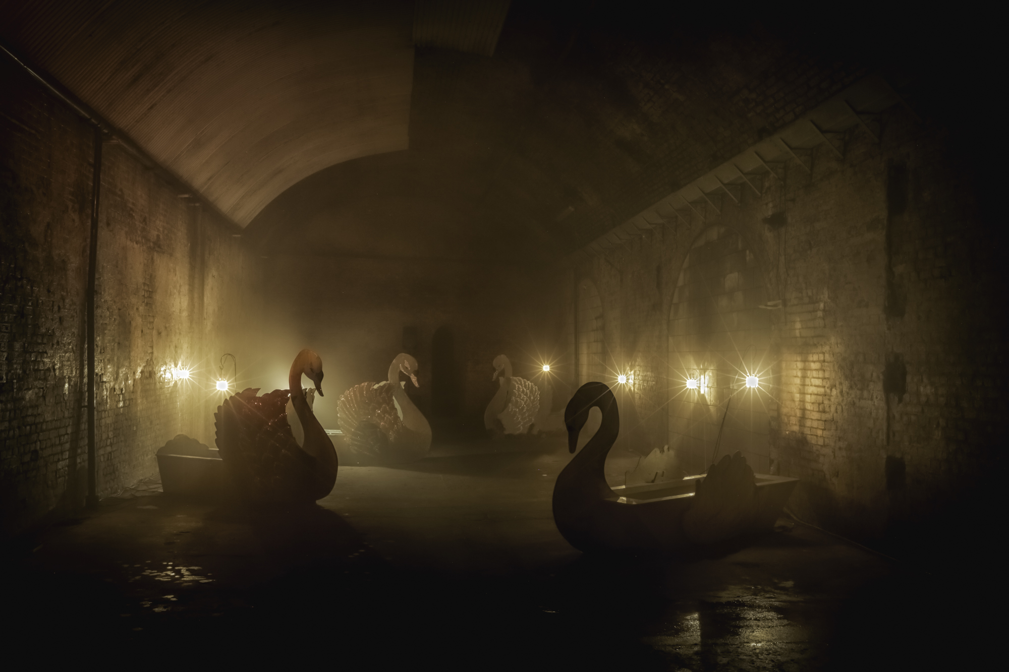 The Long Wet One - g544qfybbqq.jpg