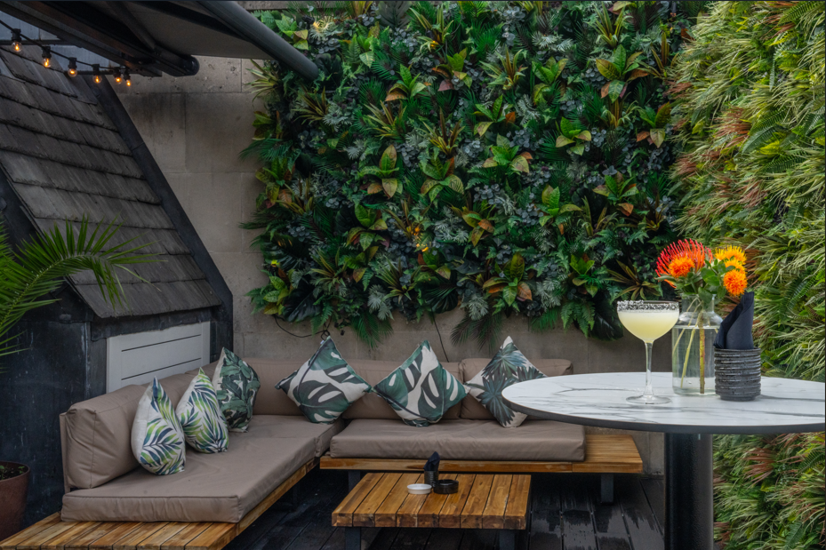 La Casita  - b334a3a5-ff13-491a-94ce-a6f2bba2bcdc.png