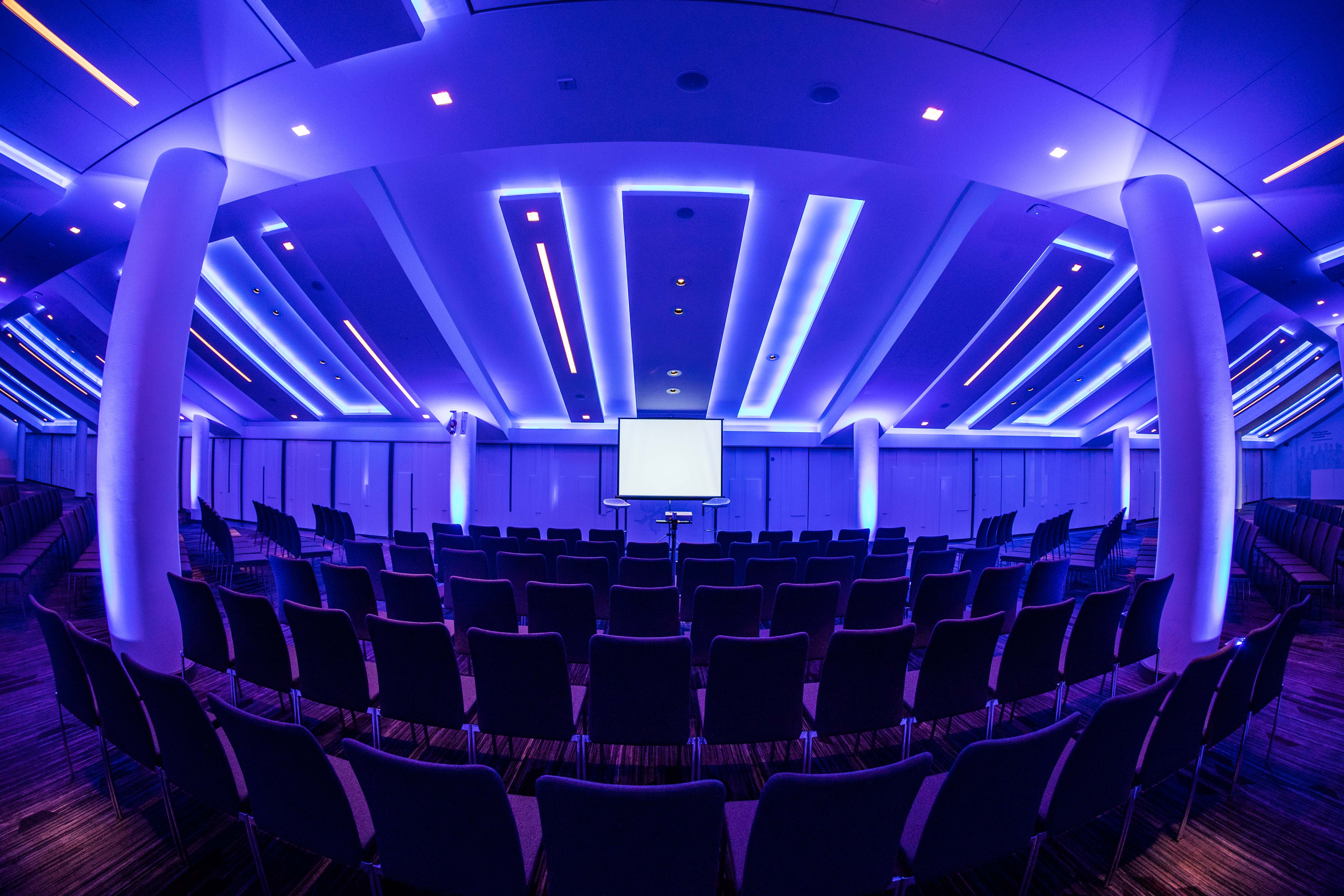 Spirit of Rugby - 22pl1ky0nju.jpg