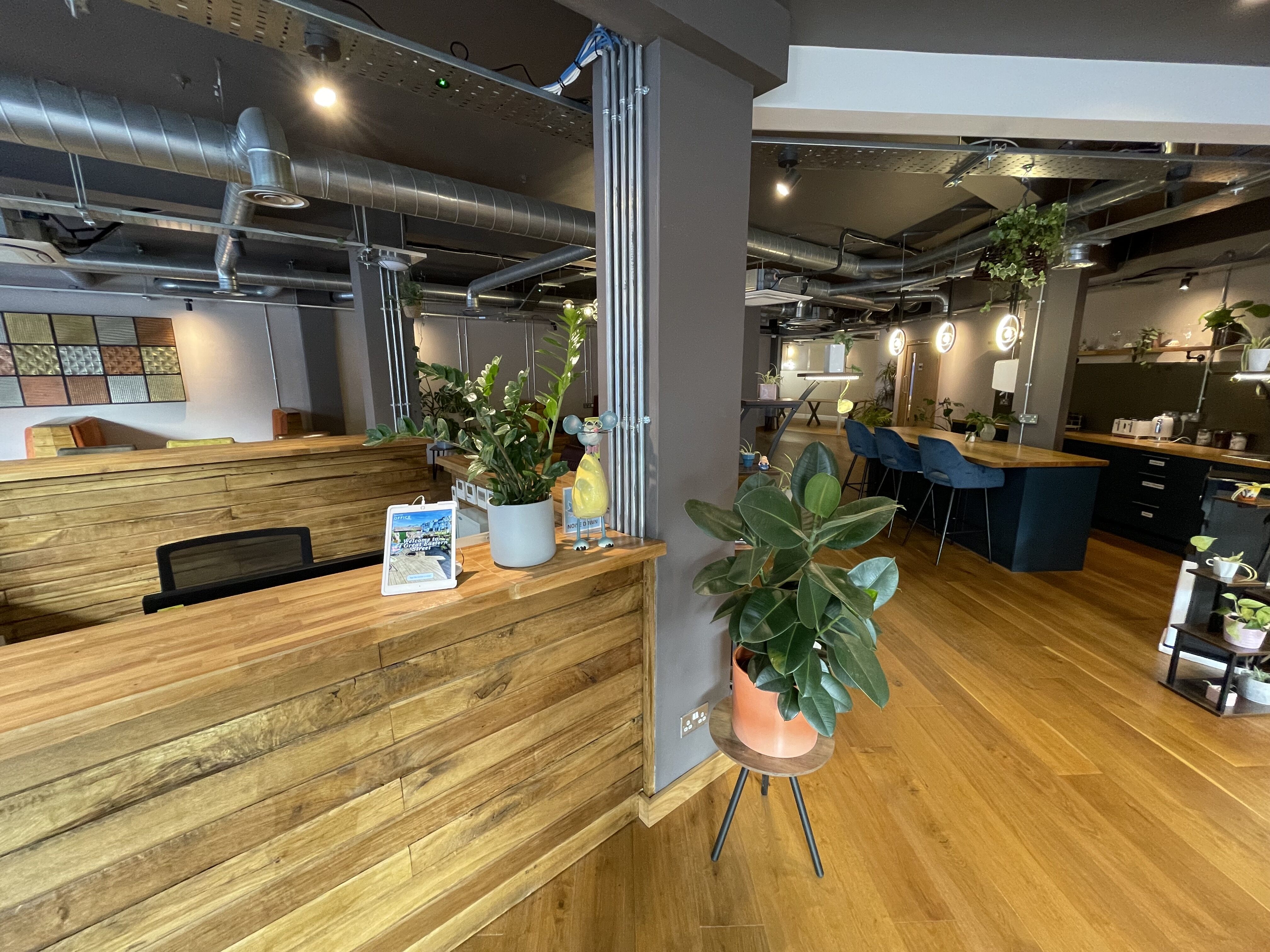 Whole Venue - wpumwm22s5c.jpeg