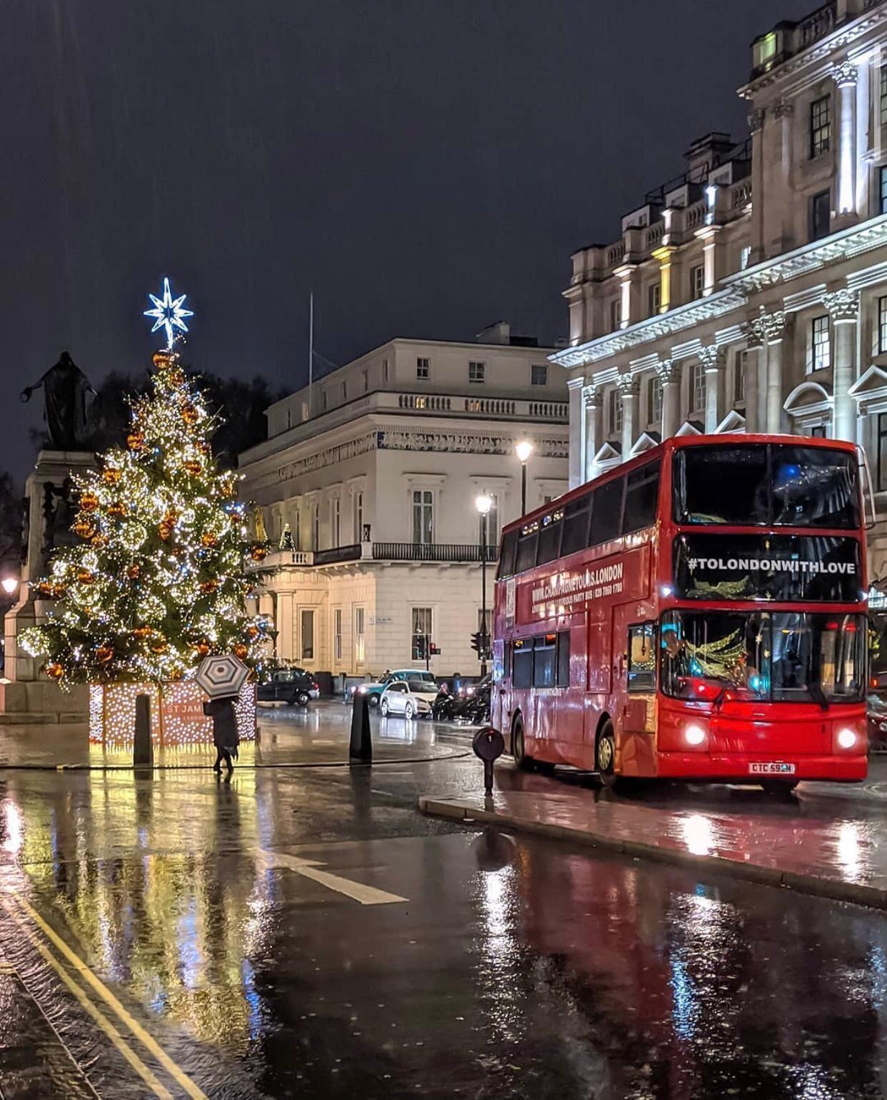 Luxury double-decker bus by Christmas tree in London, perfect for holiday tours.