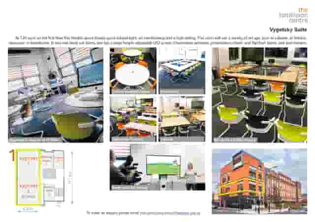 Vygotsky Suite