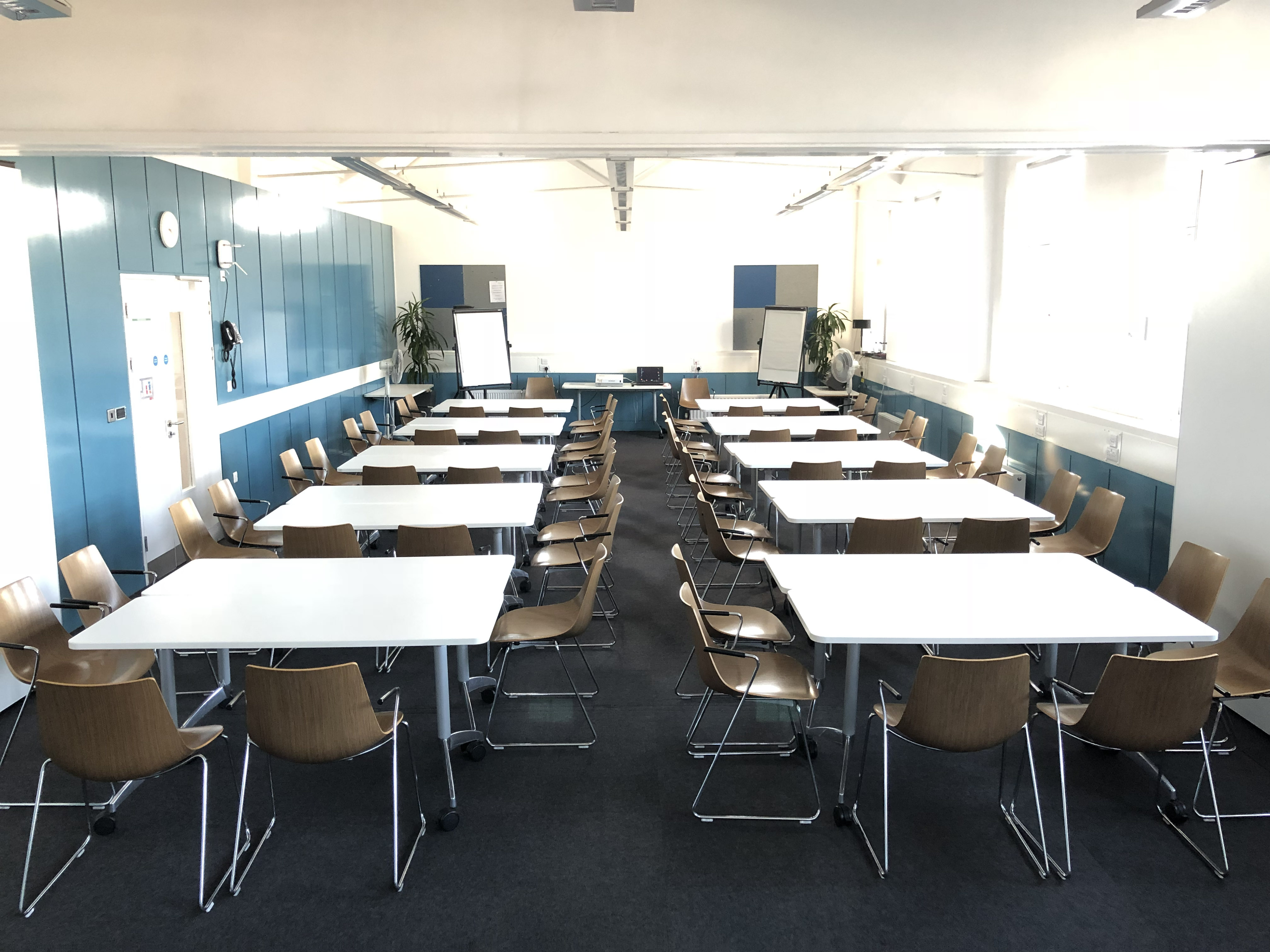 Bloom Suite  - f850f3eb-9e5f-489c-ad97-6fe51c6d50d6.jpg