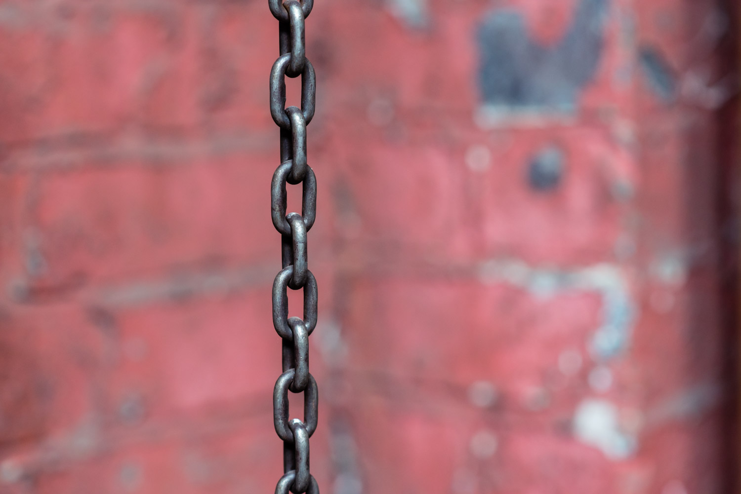 CRANE  - 014jgkupffb.jpg