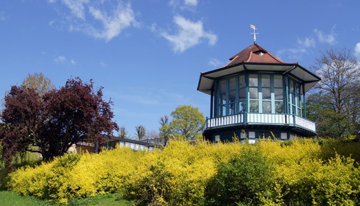 Bandstand gazebo at Horniman Museum, surrounded by yellow flowers, perfect for outdoor events.