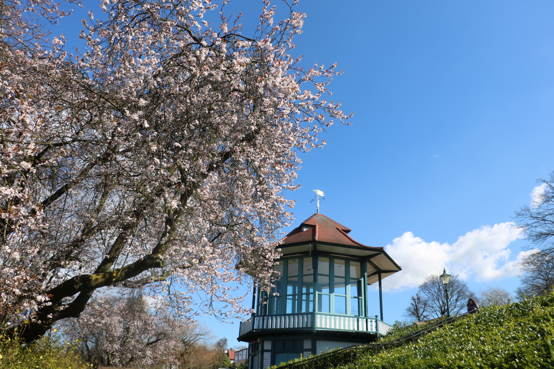 Bandstand - 18ec4c61-98c1-42f1-b73c-6bbdabf32f64.JPG