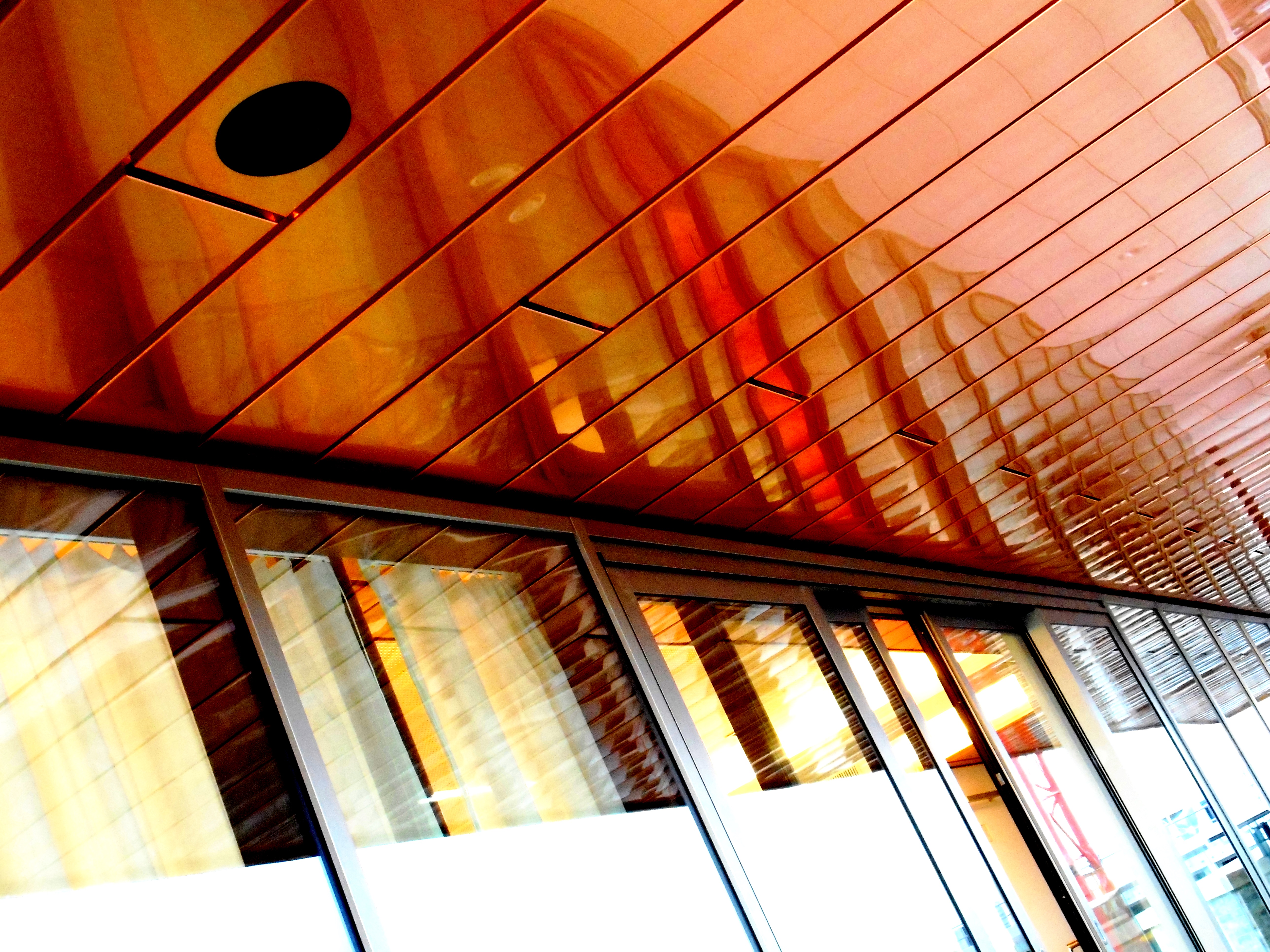 Lime Tree Suite - bqmzfe0hpit.jpg