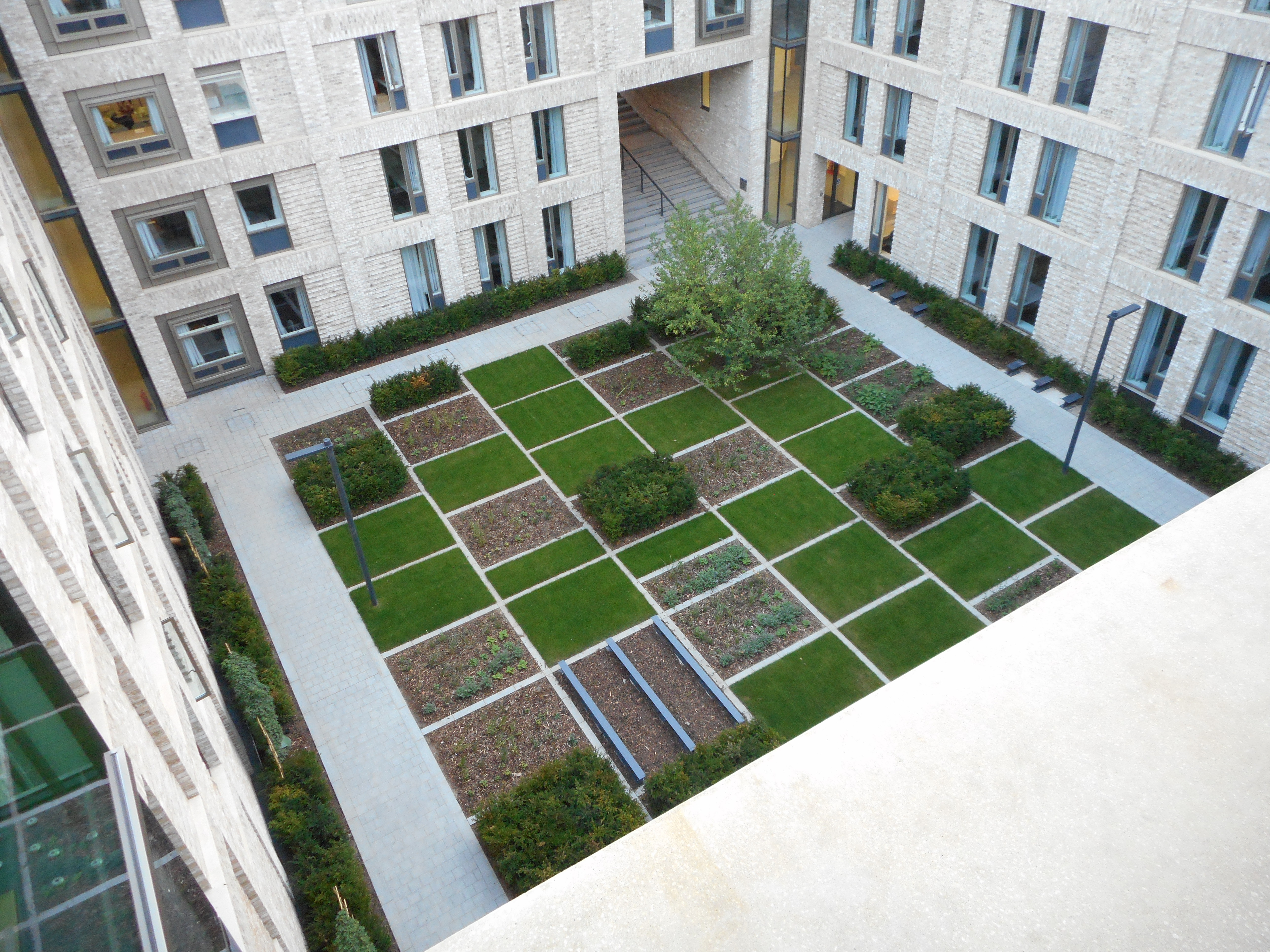 Lime Tree Suite - lkfrnrbmnsh.JPG