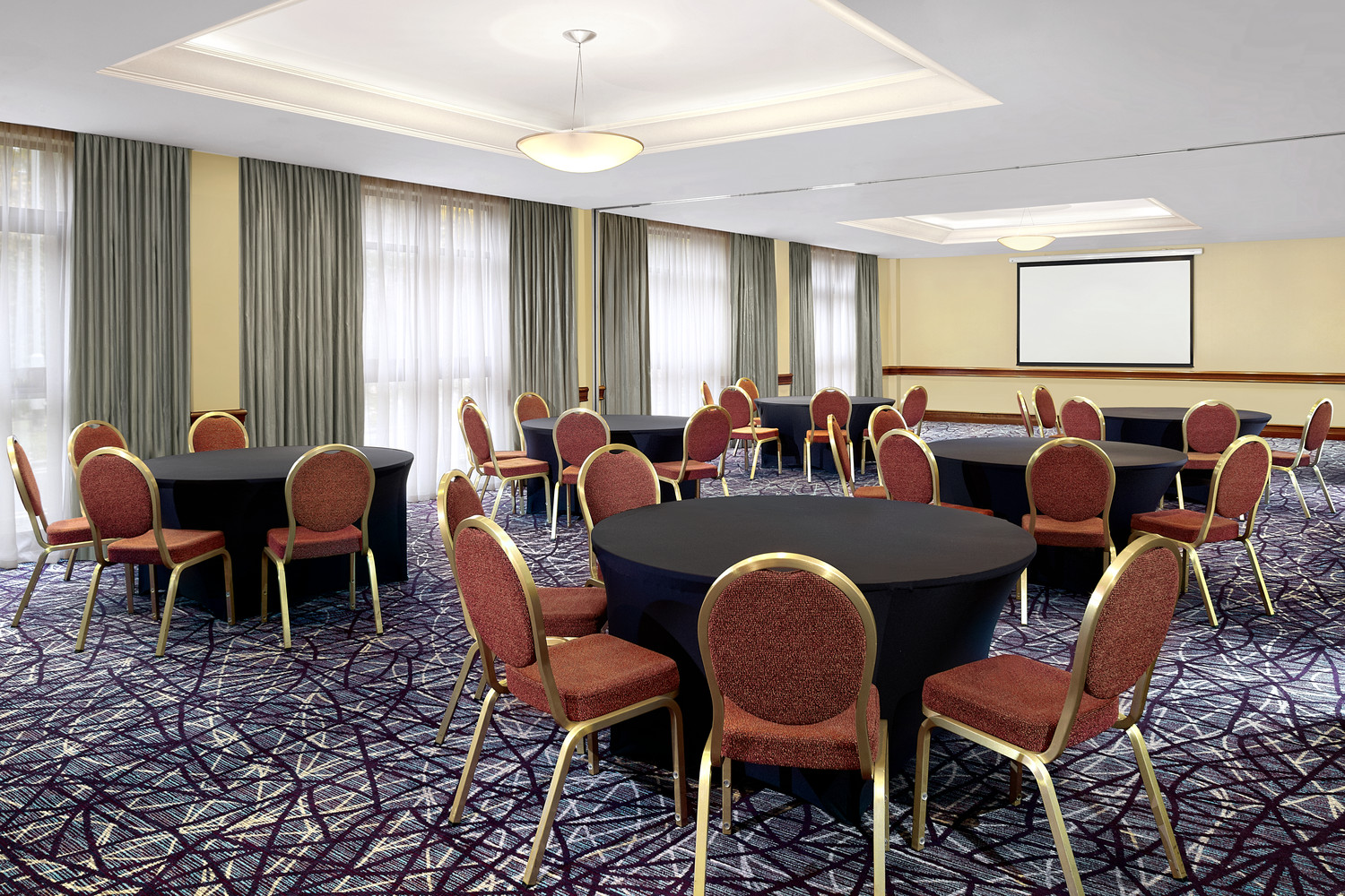 Atlantic Suite at Sheraton Skyline Hotel, elegant meeting space for workshops and presentations.