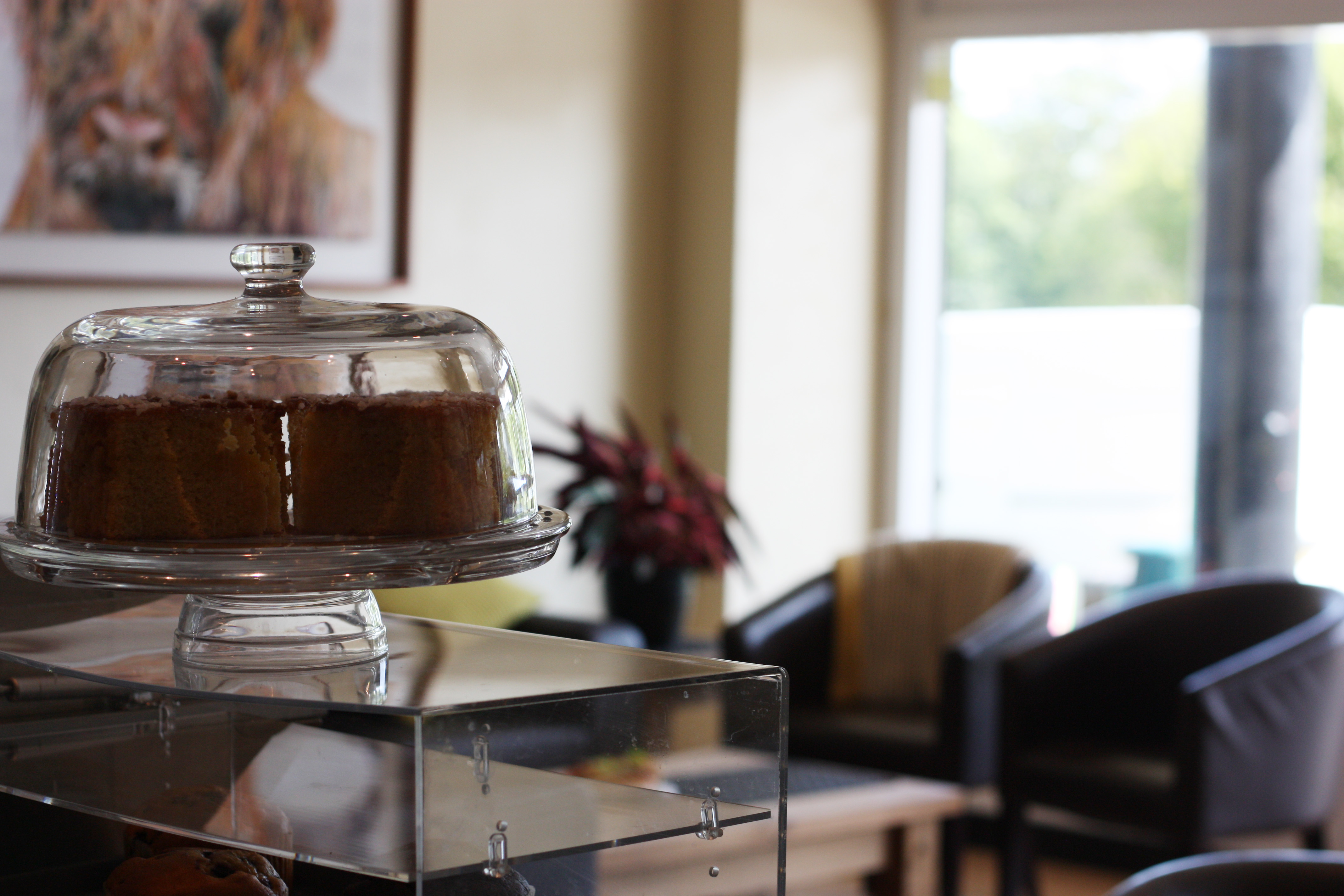 Inviting meeting space at Rossi's Coffee Shop with natural light for networking events.