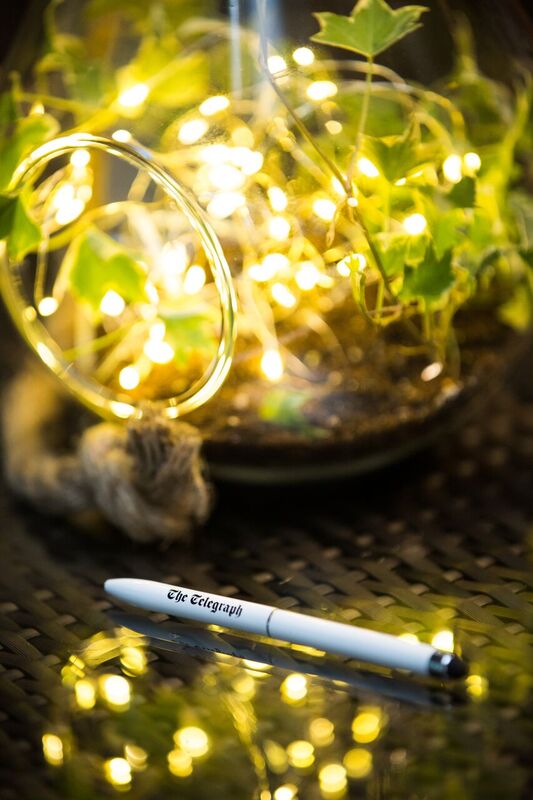 Whole Venue - wfelpzgpz5j.jpg