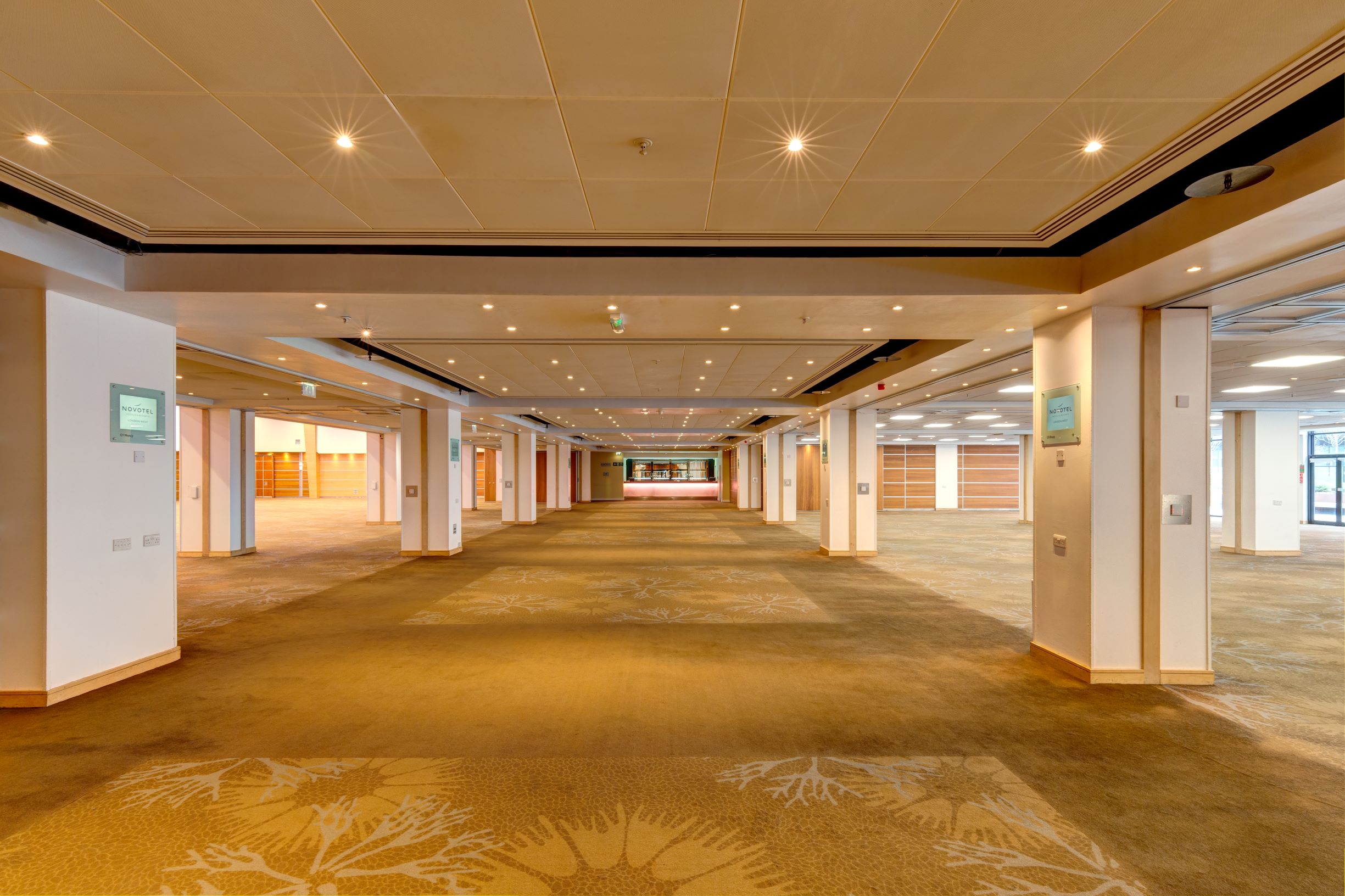 Champagne Suite - k1b5y10ybf2.jpg