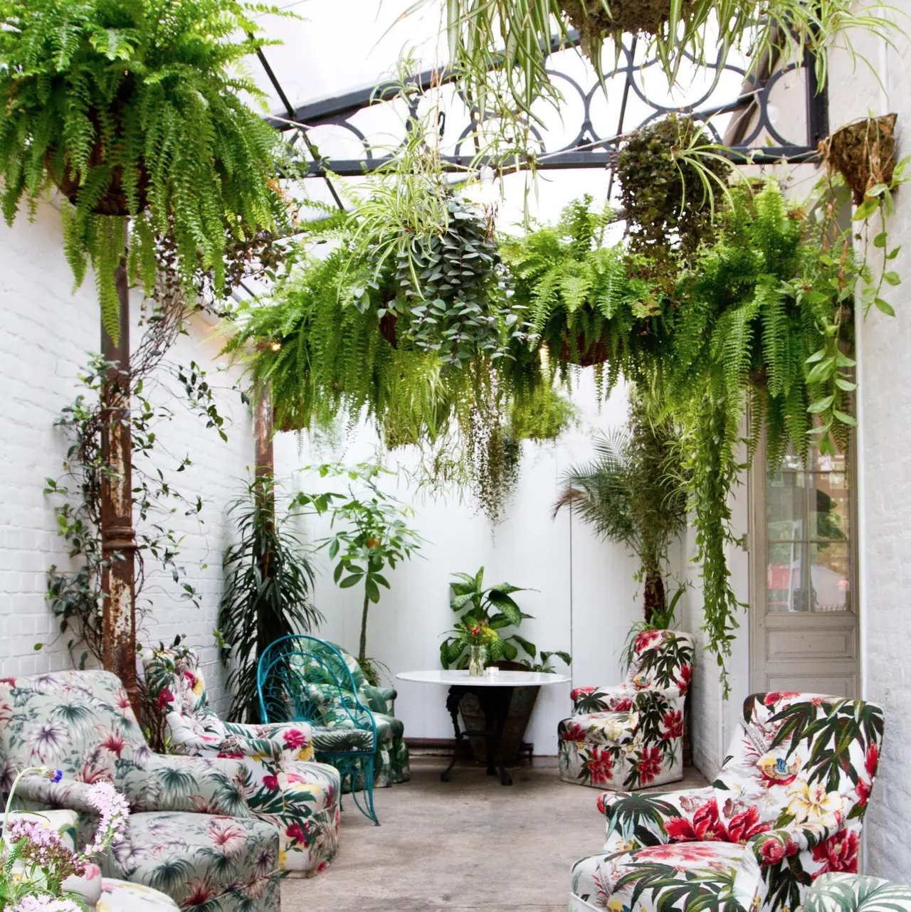 Lush indoor greenhouse venue for intimate gatherings and creative events.