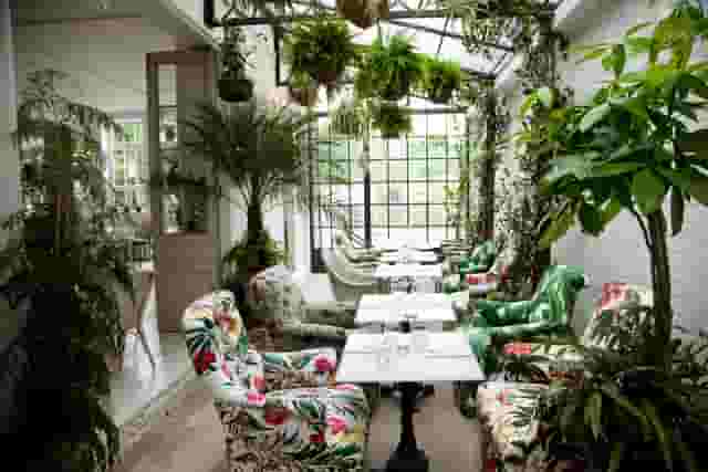 Greenhouse