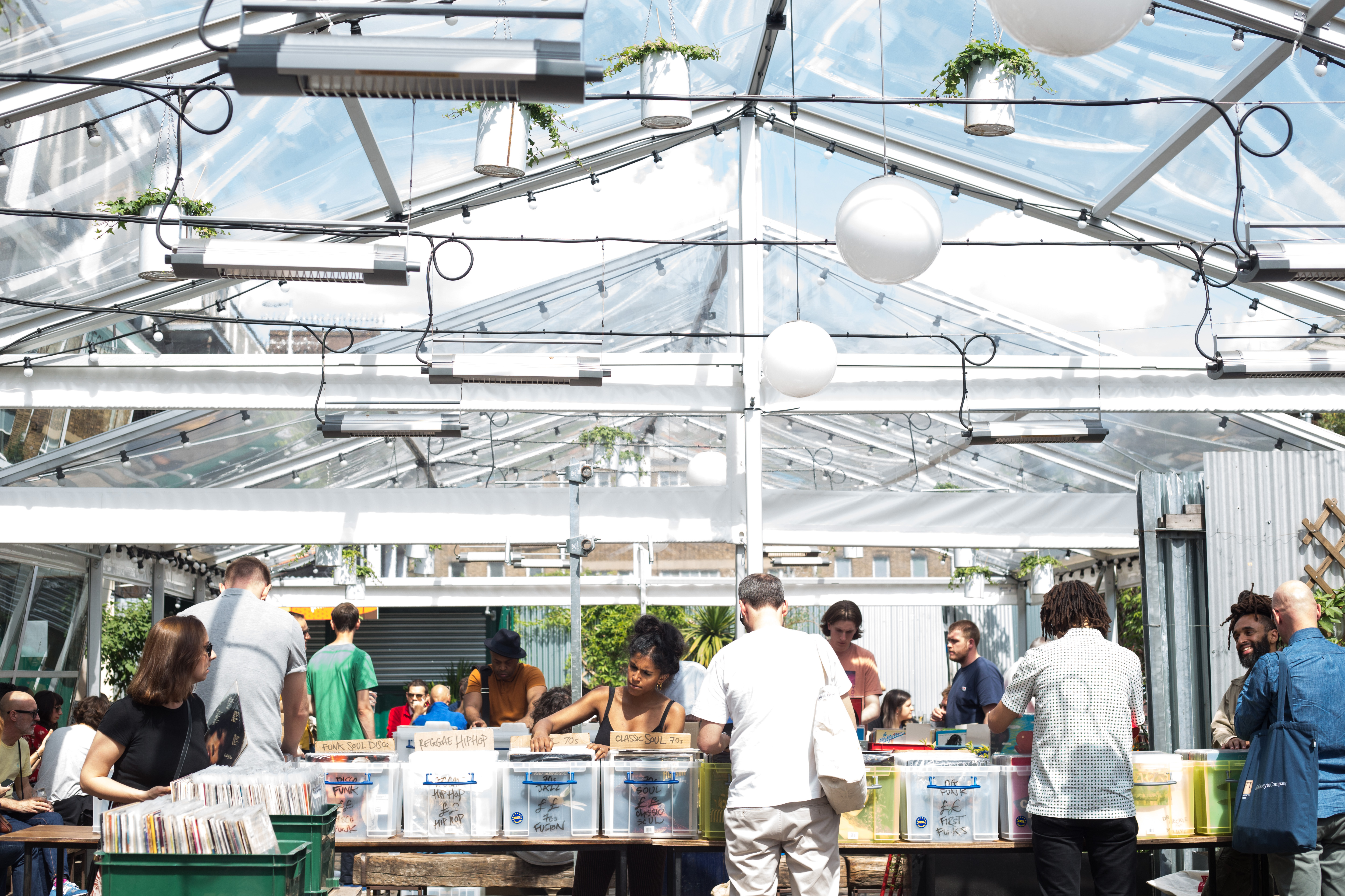 Palm House - 1pq2qv54hc4.jpg